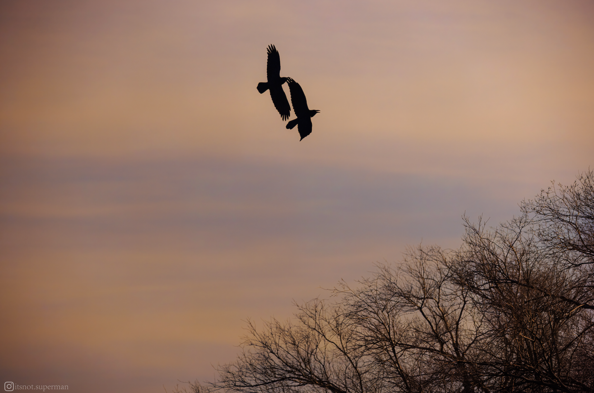 Screenshot 2026-01-05 at 4.22.33 PM.png