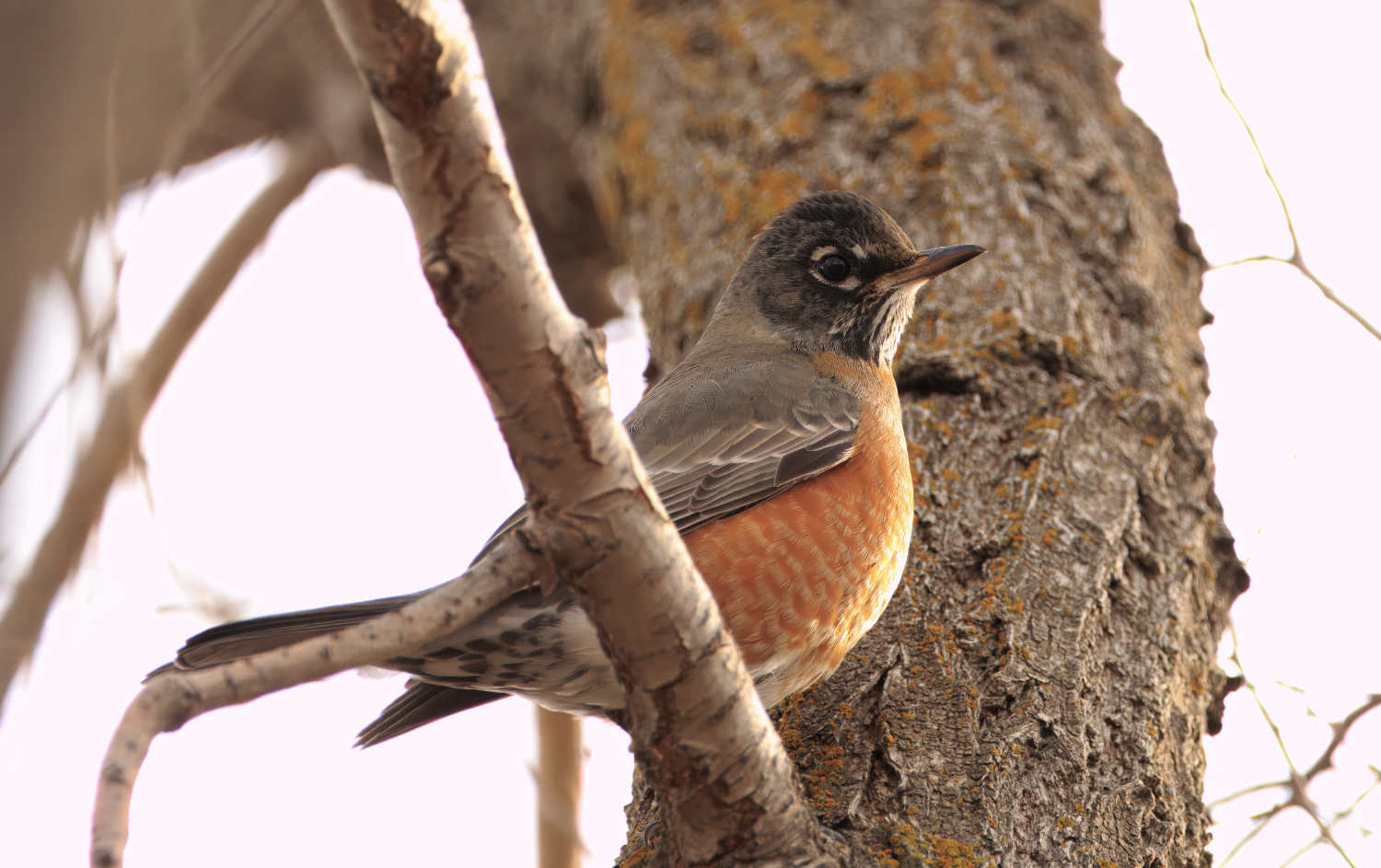 Screenshot 2025-08-24 at 10.27.04 PM.png