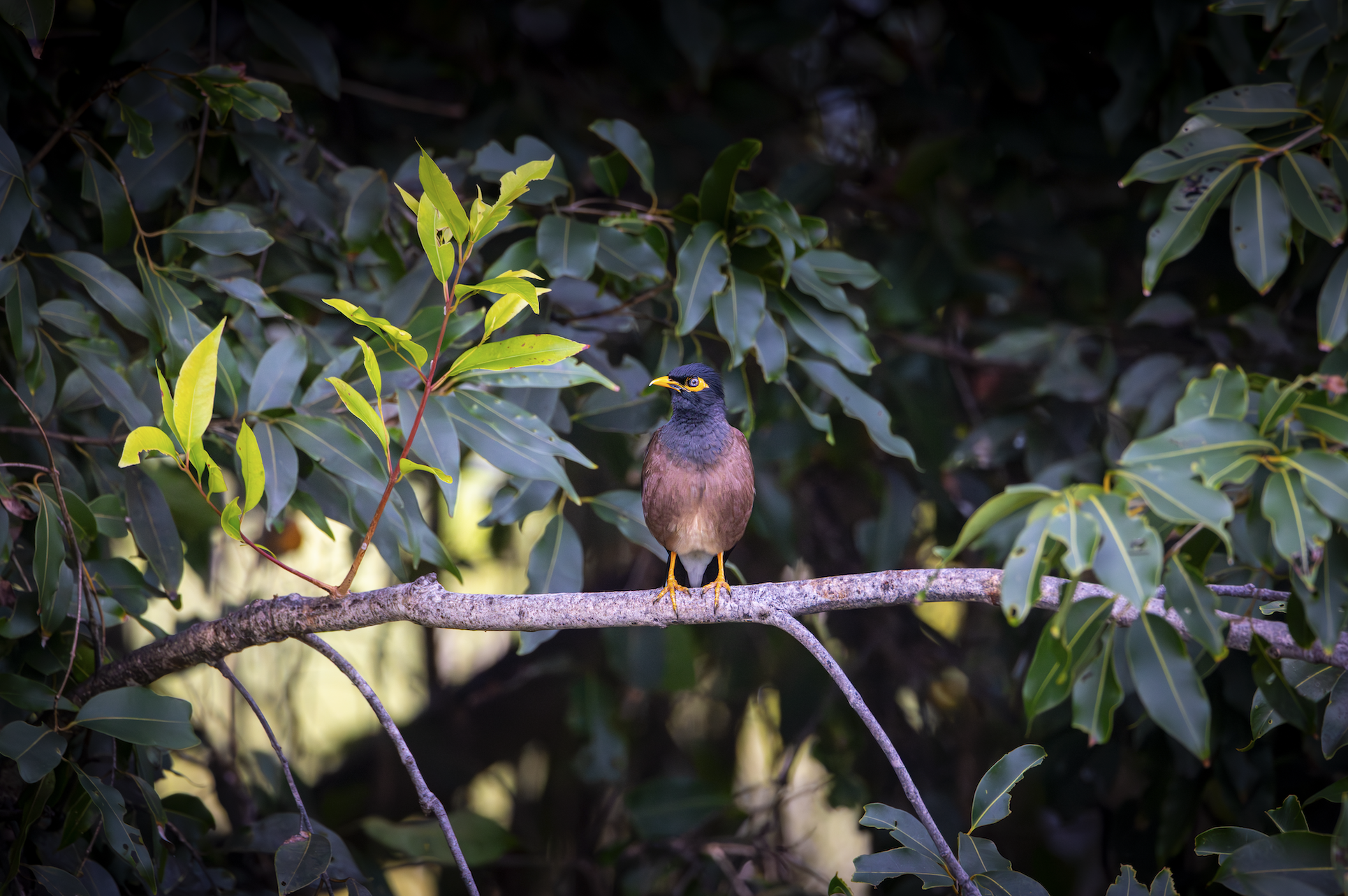 Screenshot 2026-03-09 at 11.47.33 AM.png