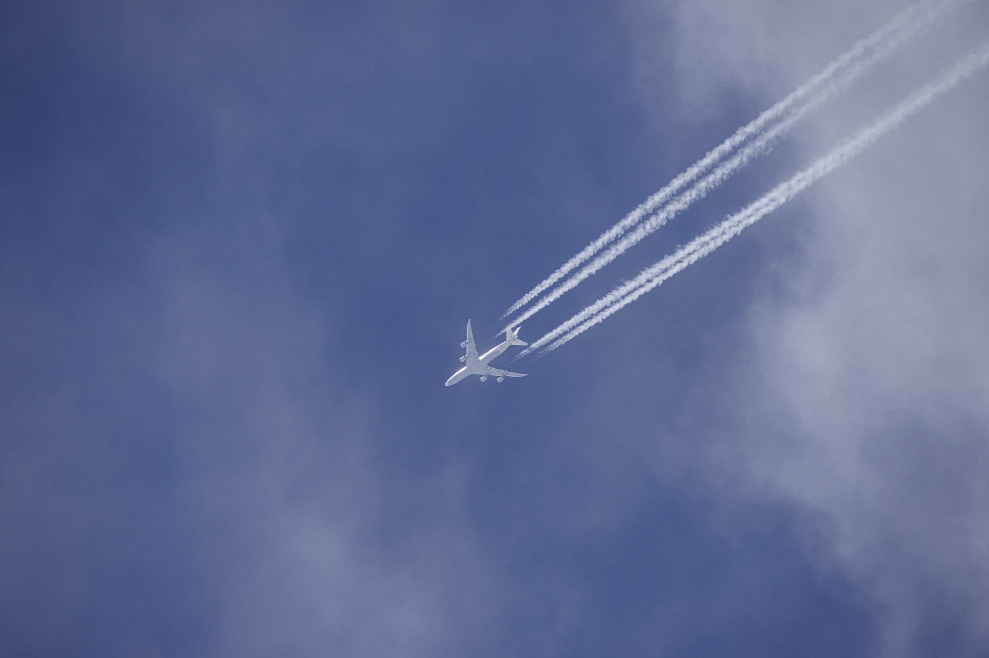 Screenshot 2025-08-25 at 11.12.01 AM.png