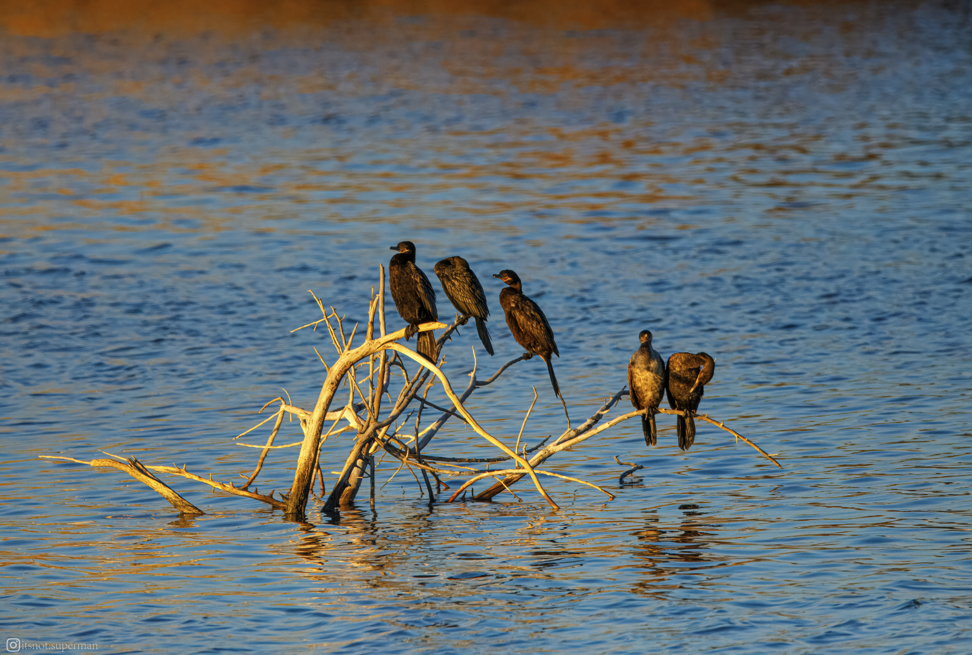 Screenshot 2025-08-24 at 11.06.13 PM.png