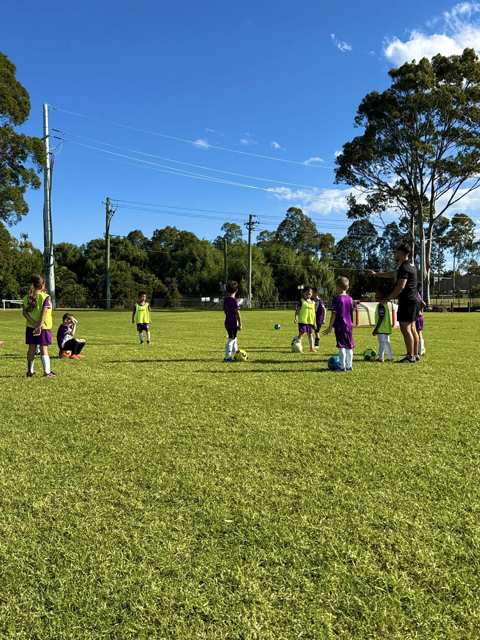 Minis Program (U5 to U7) - Sunday