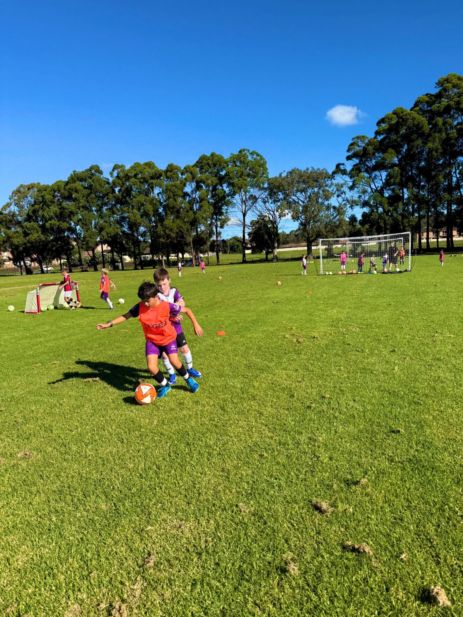 Academy Program (U8 to U12) - Moorebank