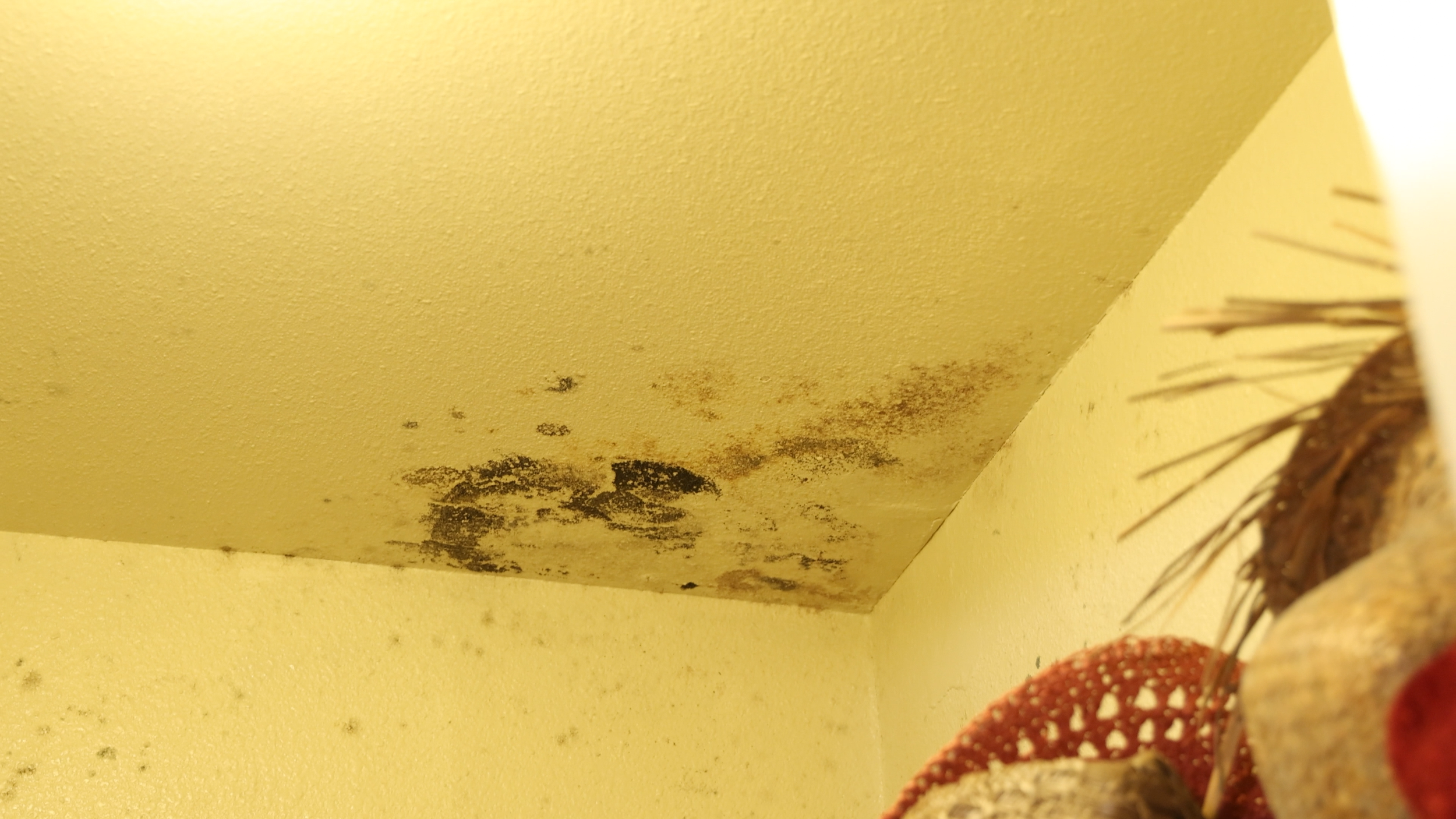 7-3 LOCKWOOD APTS.00_03_33_21.Still004.png