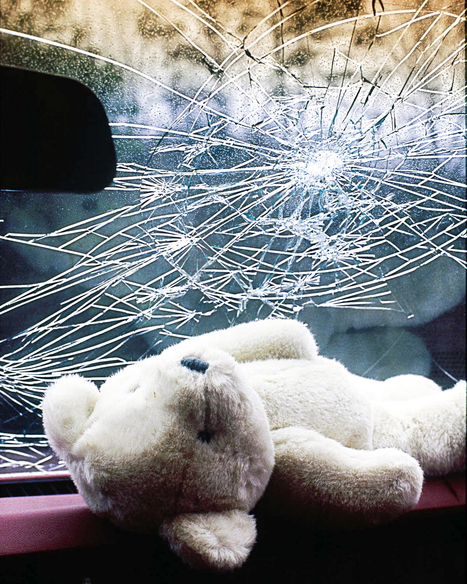 Broken glass and a stuffed toy photographed in a dramatic safety-themed scene.