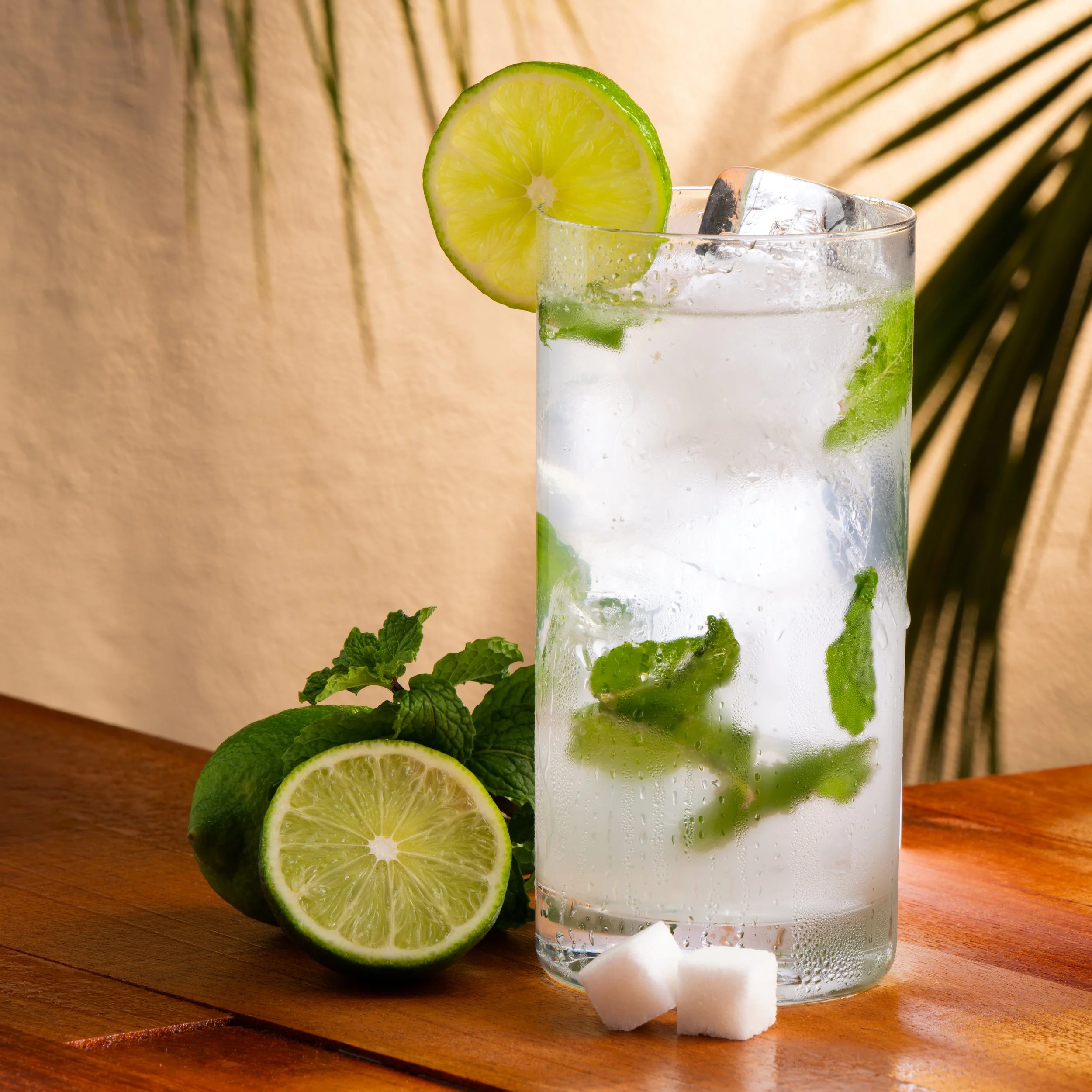 Mojito-085-Edit.jpg