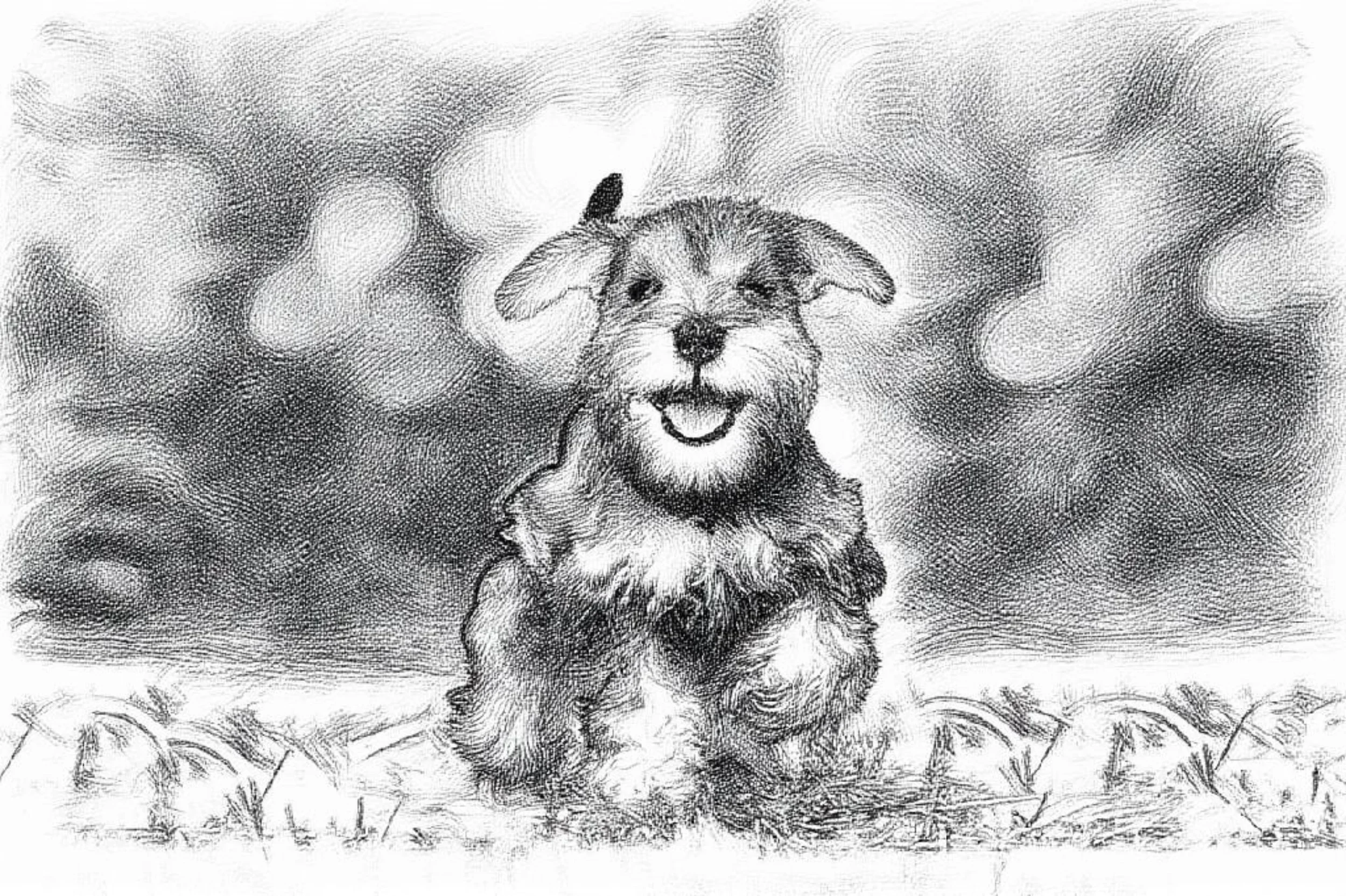 A sketch of a happy dog with a fluffy body and ears, standing outdoors on grass with a cloudy sky in the background.