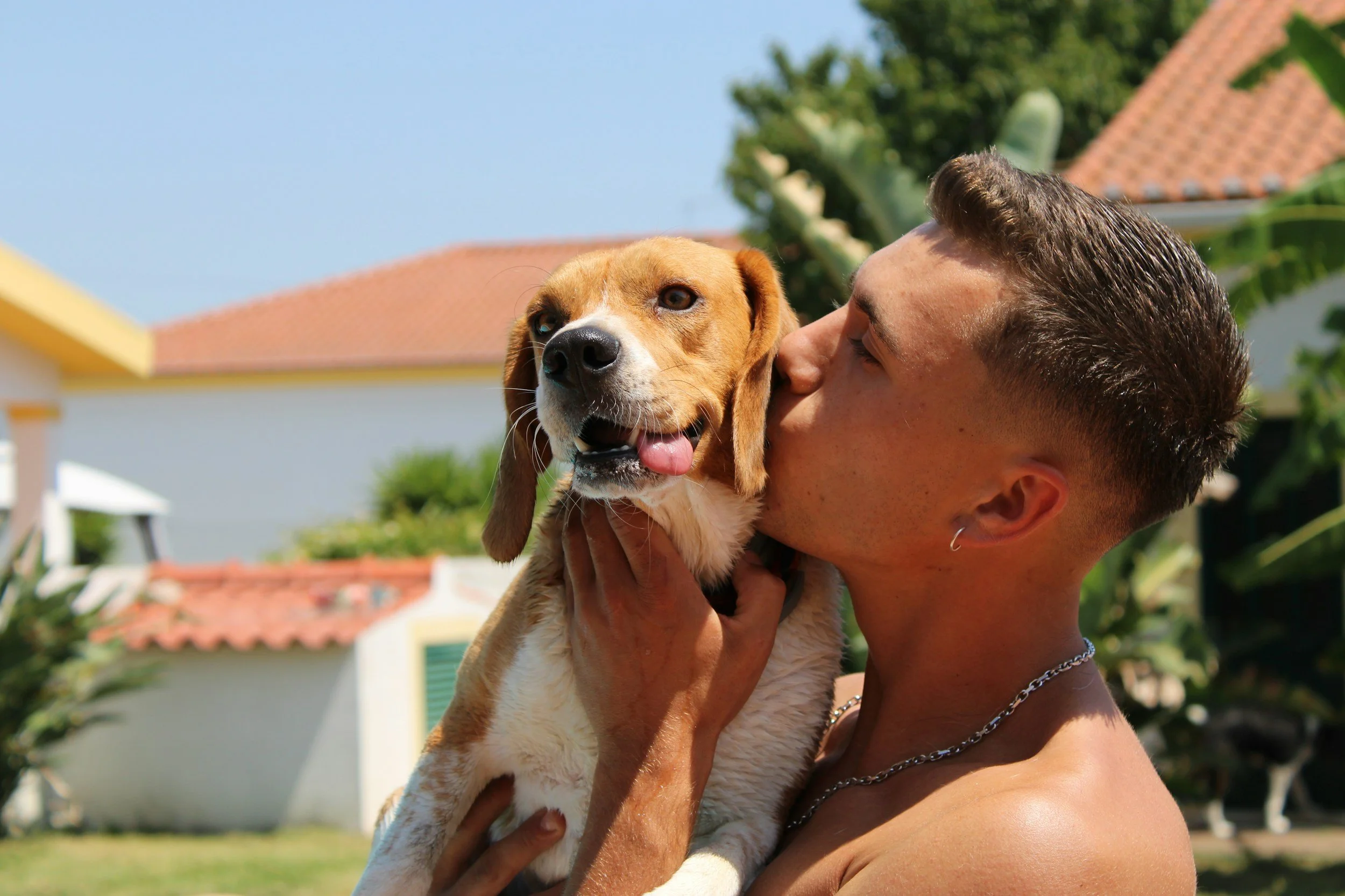 A man is holding a beagle dog and kissing it on the cheek outdoors on a sunny day.