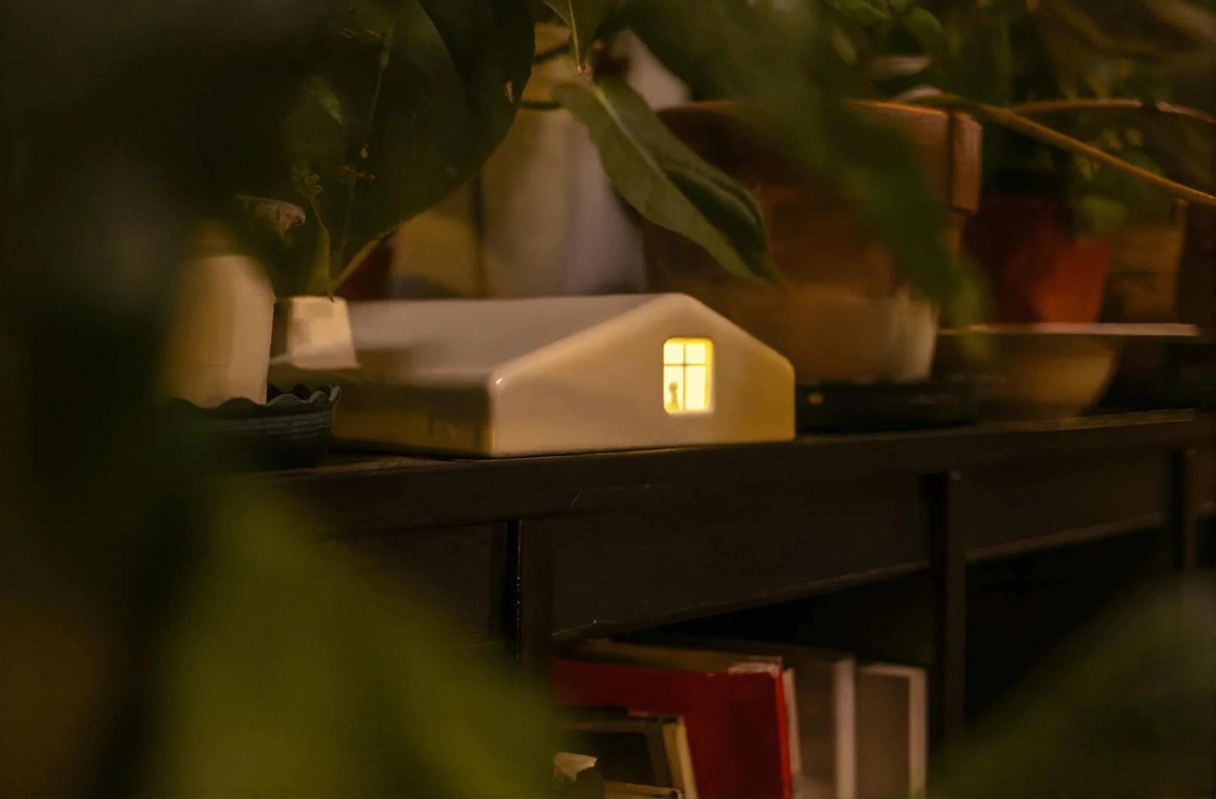 Is Water Cremation More Expensive Than Traditional Pet Cremation?