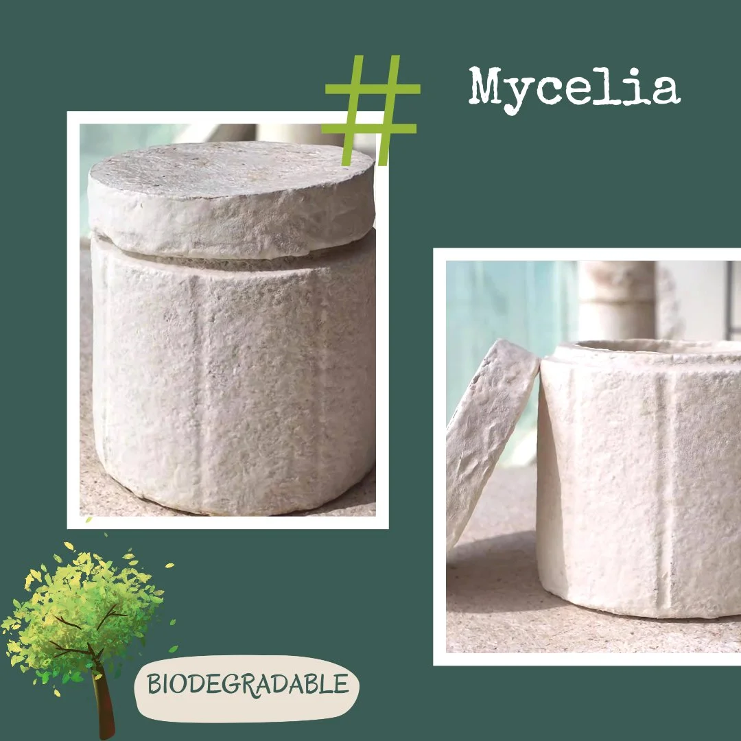 Close-up of two biodegradable soap tablets, one on top of the other, with a green background, text indicating 'Mycelia' and a small illustration of a tree, suggesting eco-friendly or natural product.