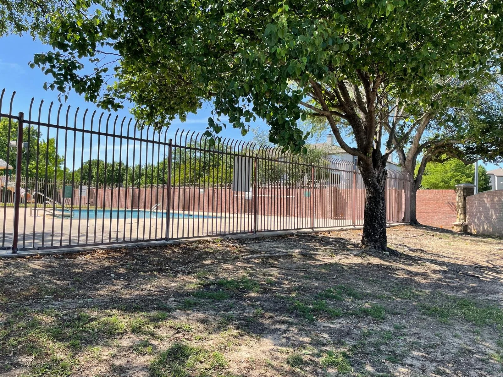 Pool Fence