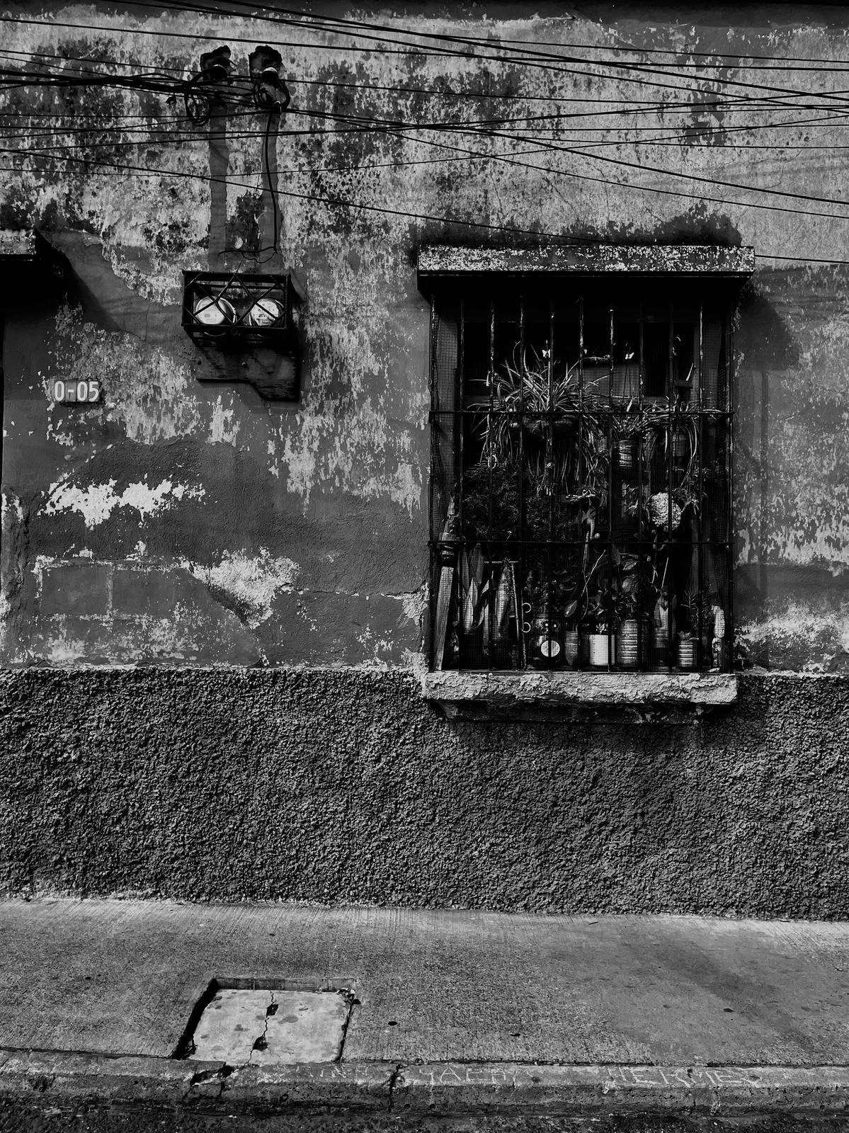 WhatsApp Image 2025-11-10 at 09.08.59.jpeg