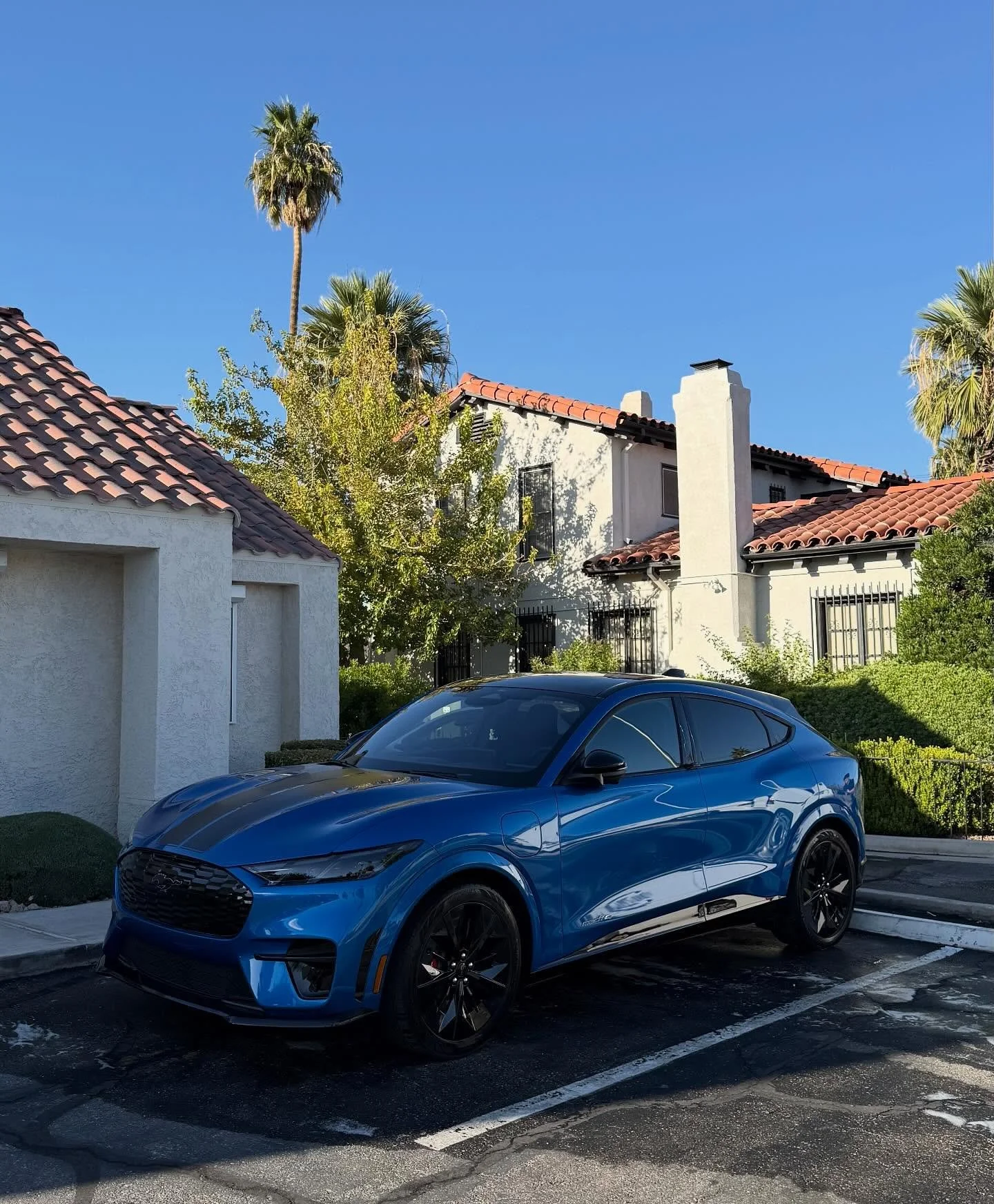 Mustang Mache 🏁 
Interior &amp; Exterior Basic Detail - Unpredictable rain will always win in vegas, get a fresh detail with us! 🚗