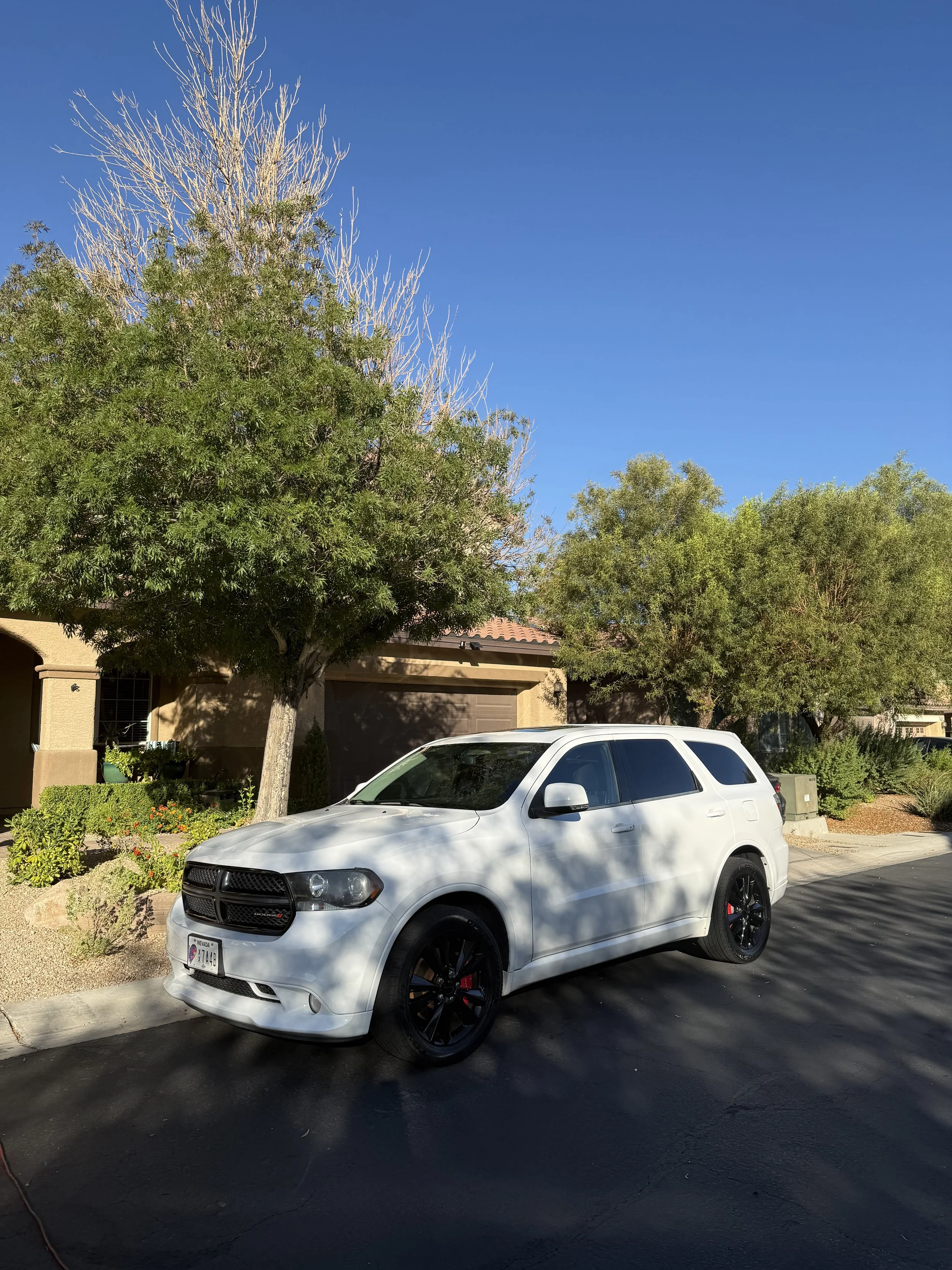 Exterior Only