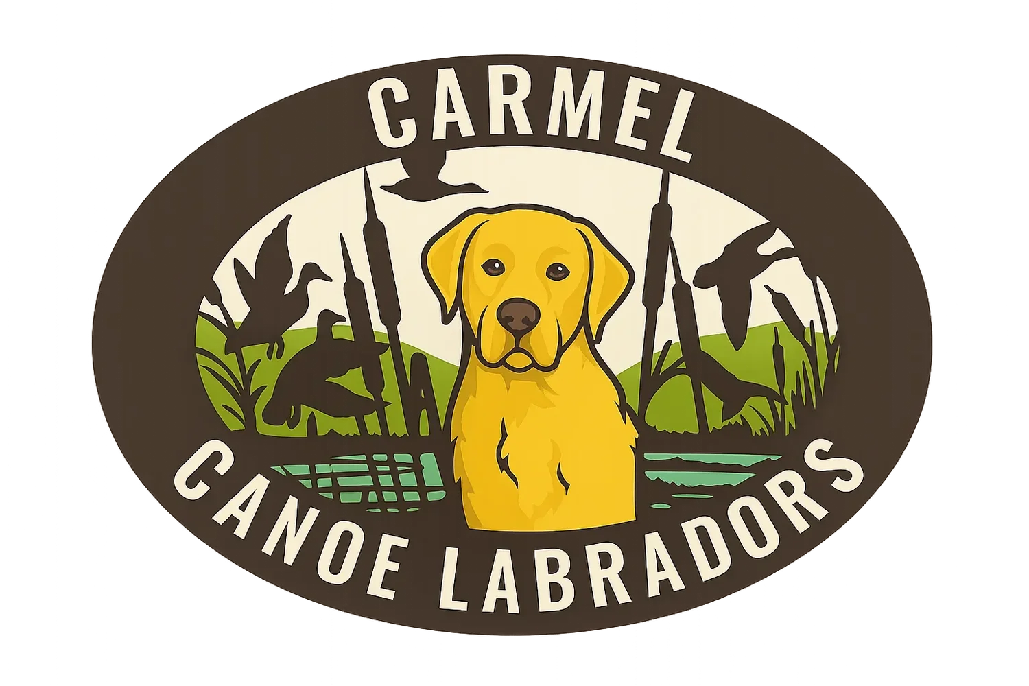 Carmel Canoe Labradors