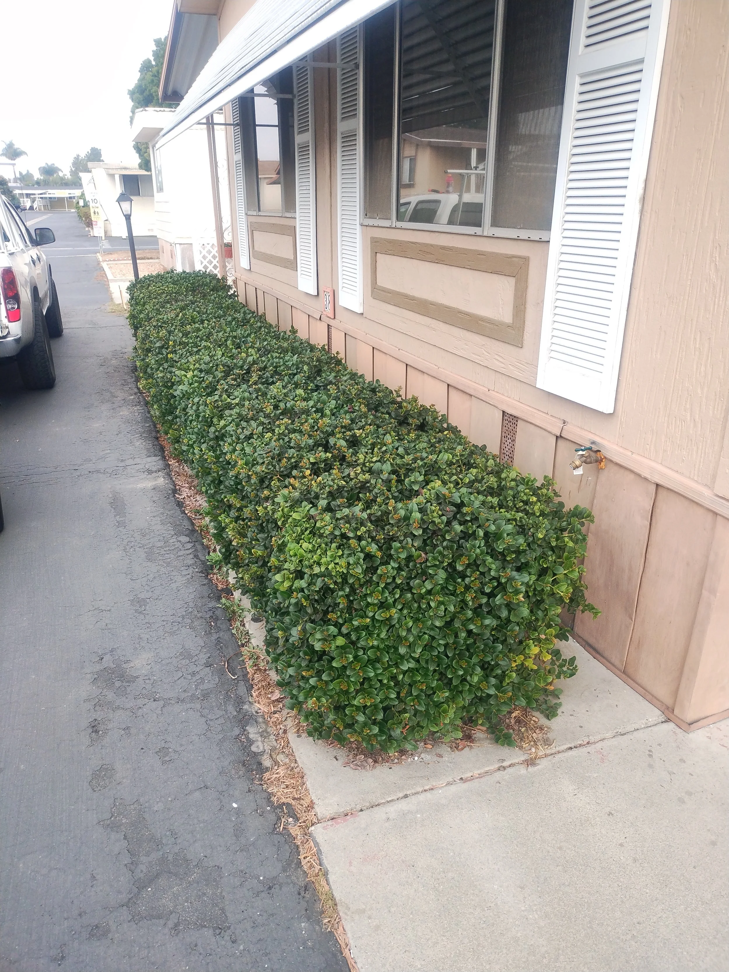 Landscape 1 before.jpg