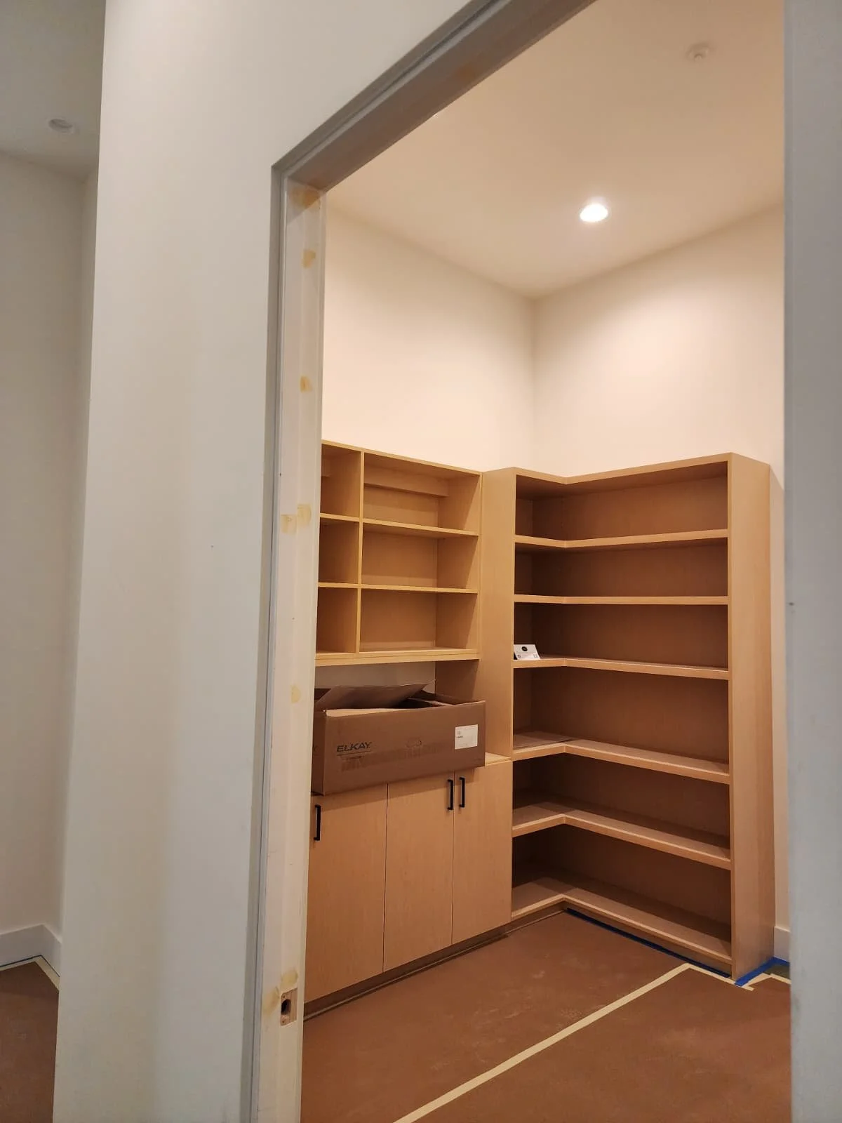 WhatsApp Image 2026-02-11 at 11.24.25 AM.jpeg