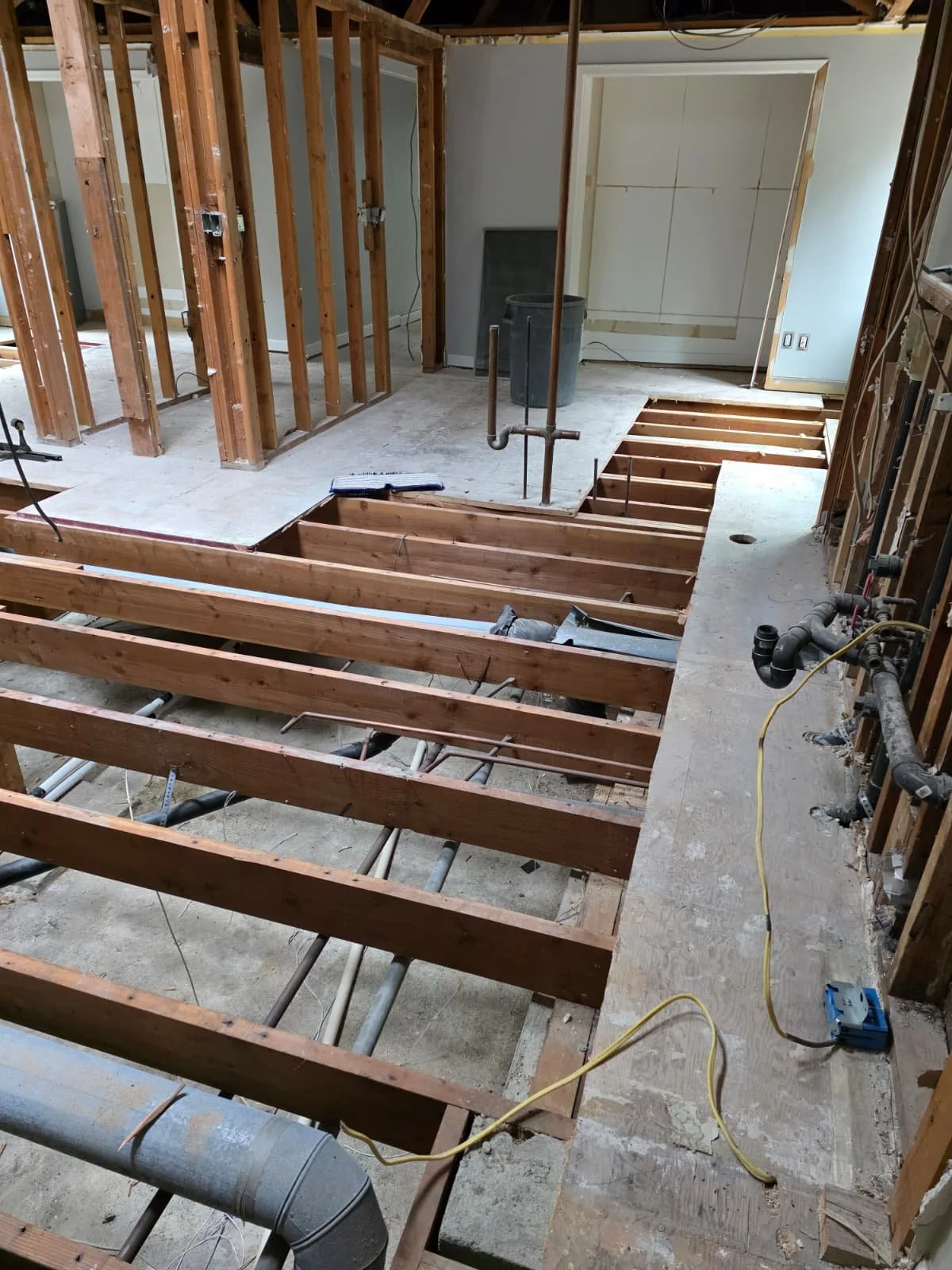 WhatsApp Image 2026-02-11 at 11.24.51 AM (5).jpeg