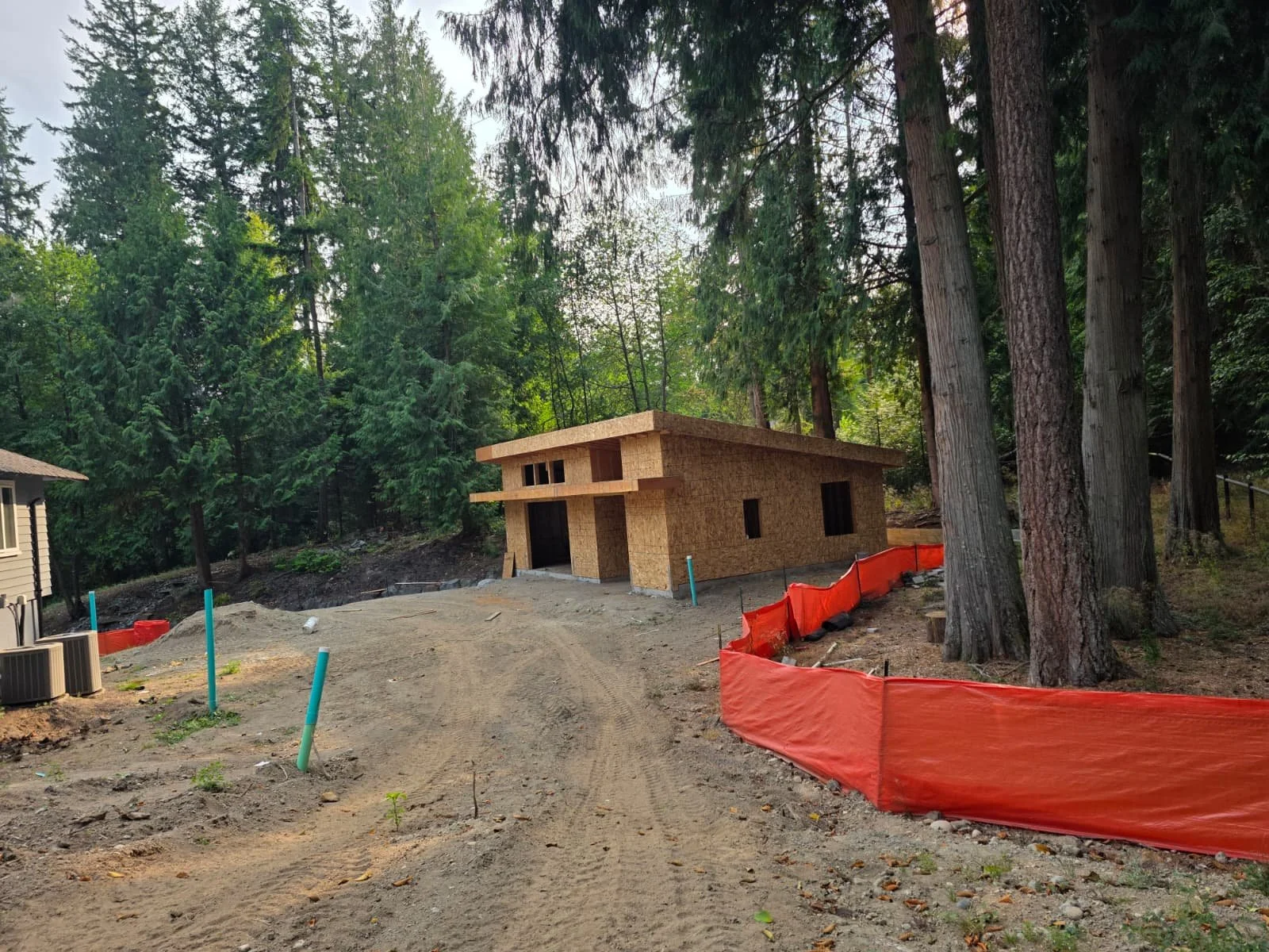 WhatsApp Image 2026-02-11 at 11.24.49 AM (2).jpeg