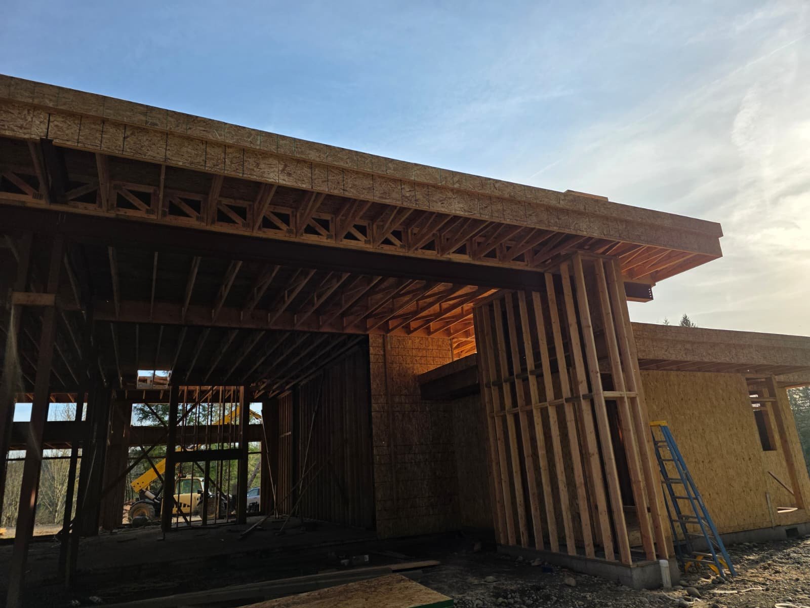 WhatsApp Image 2026-02-11 at 11.24.14 AM.jpeg