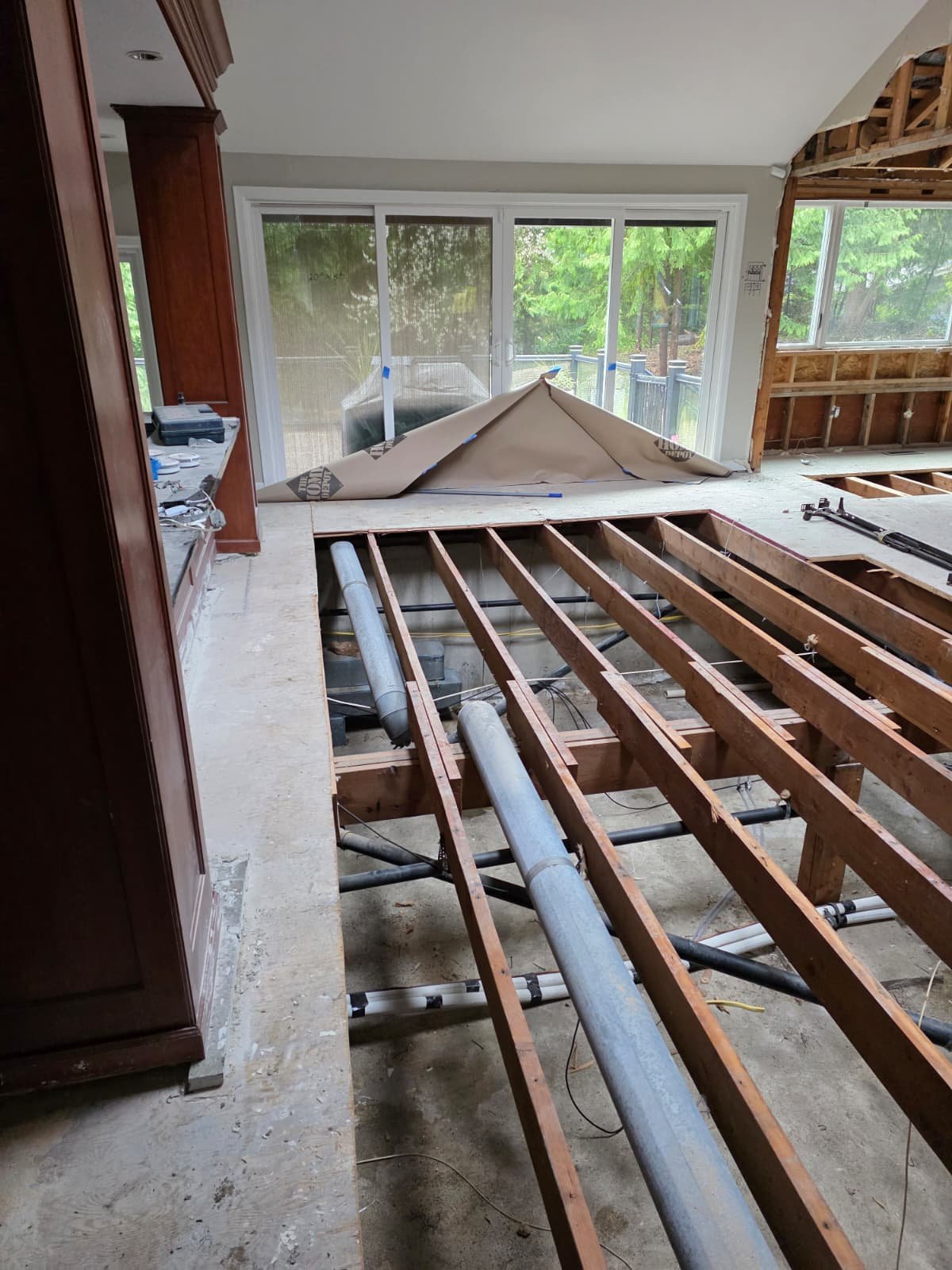 WhatsApp Image 2026-02-11 at 11.24.51 AM (2).jpeg