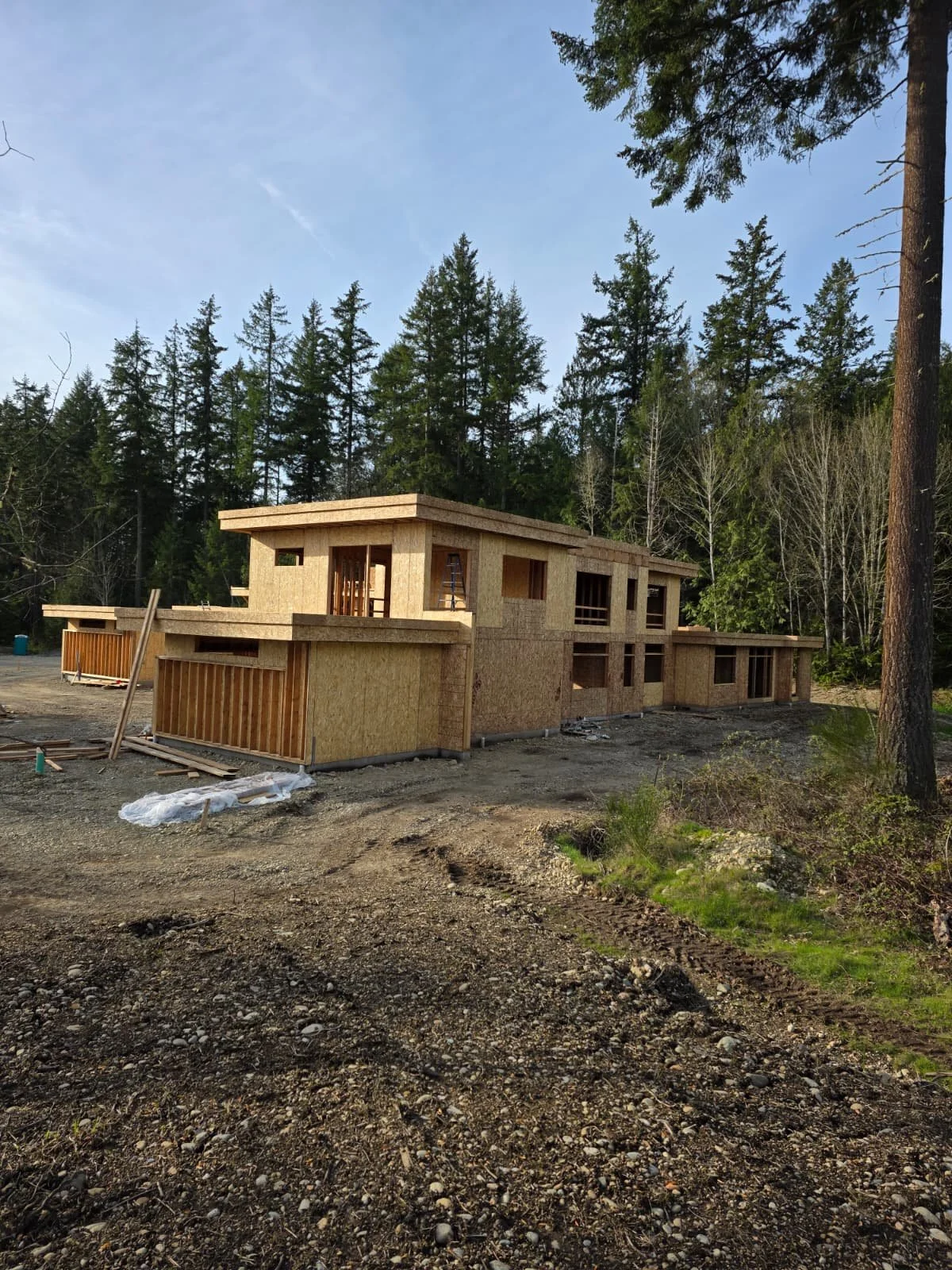 WhatsApp Image 2026-02-11 at 11.24.22 AM.jpeg