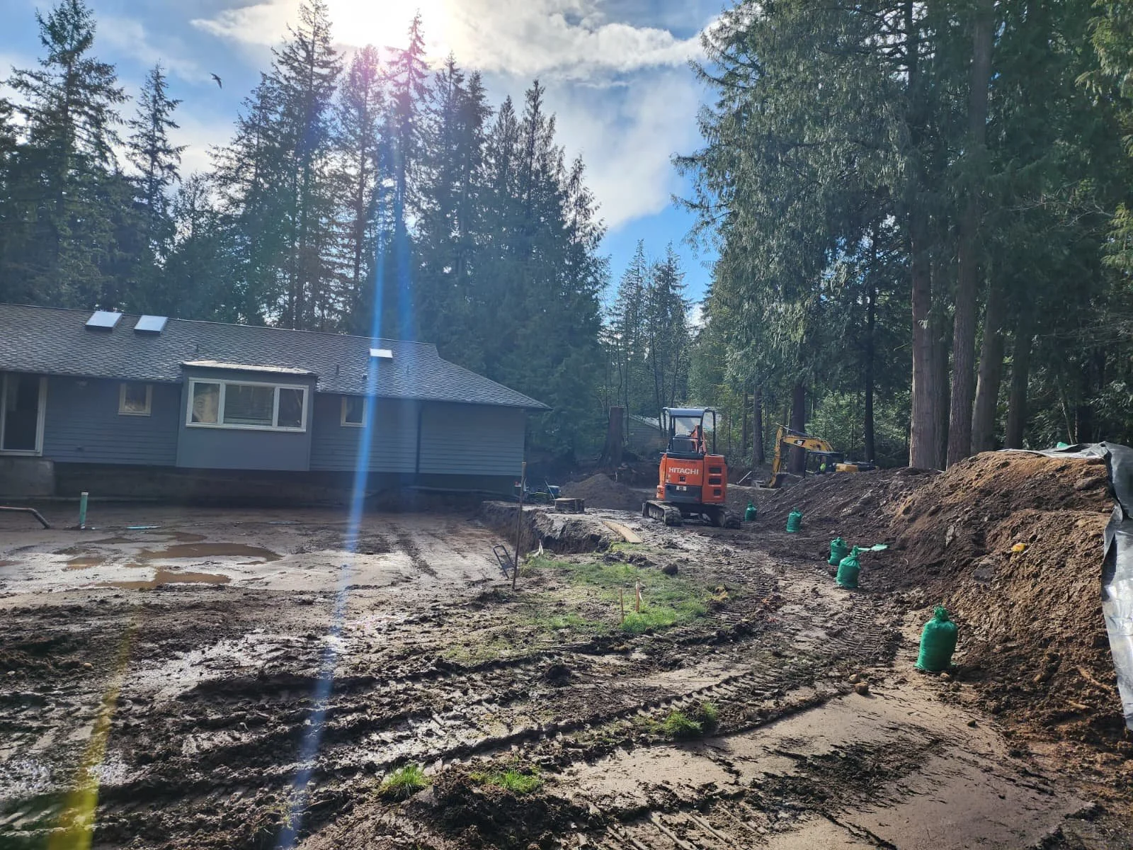 WhatsApp Image 2026-02-11 at 11.24.52 AM (1).jpeg