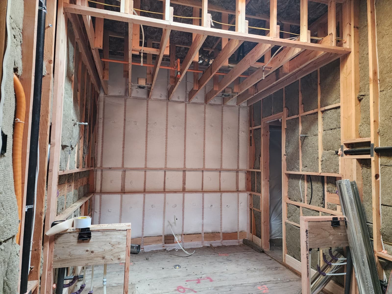 WhatsApp Image 2026-02-11 at 11.24.29 AM.jpeg