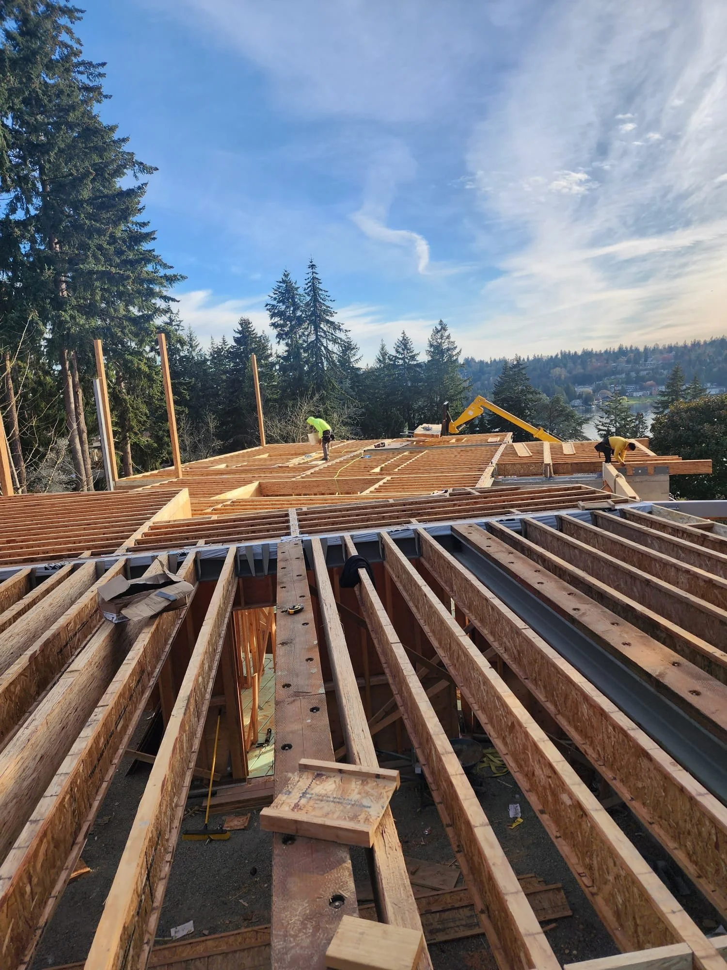 WhatsApp Image 2026-02-11 at 10.50.04 AM.jpeg