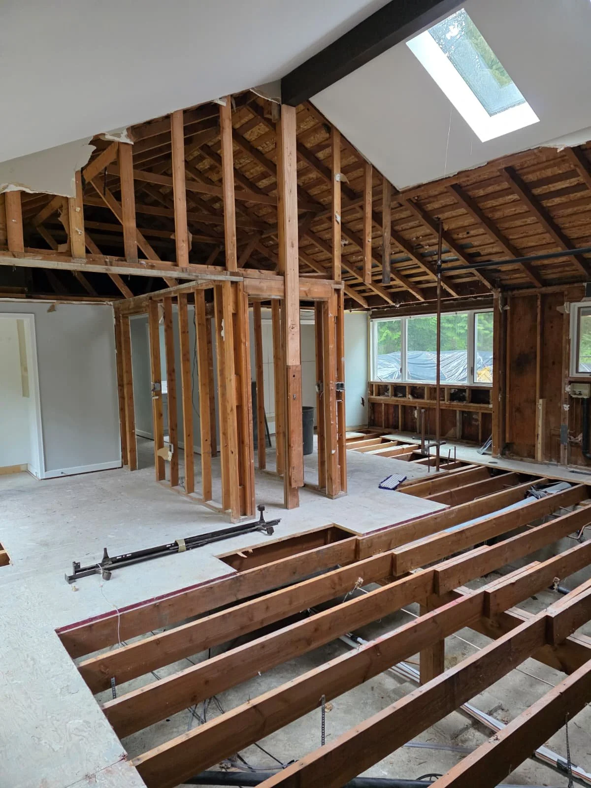 WhatsApp Image 2026-02-11 at 11.24.51 AM (3).jpeg