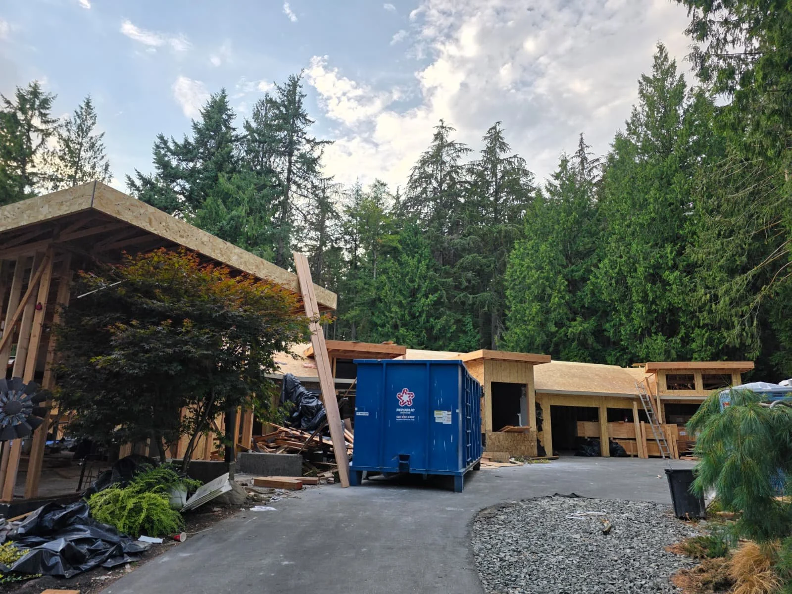 WhatsApp Image 2026-02-11 at 11.24.50 AM (3).jpeg