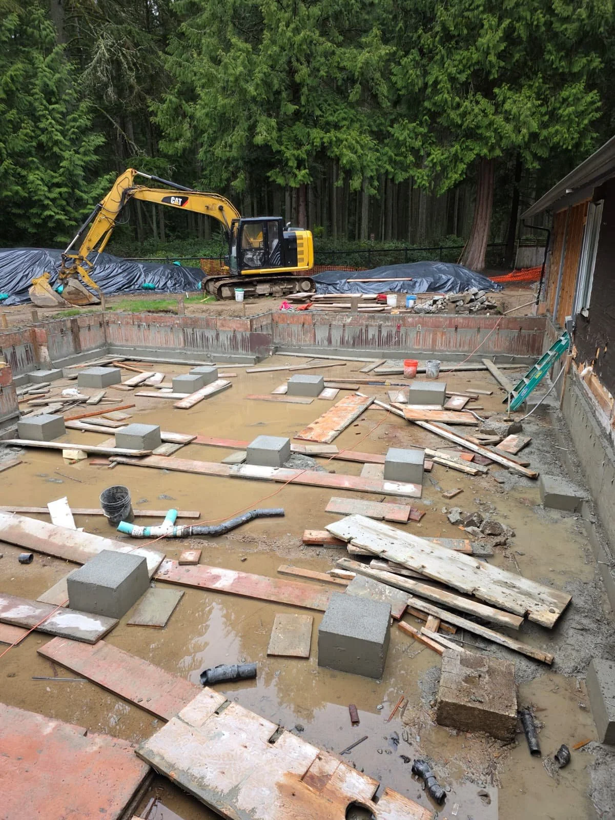 WhatsApp Image 2026-02-11 at 11.24.51 AM (7).jpeg