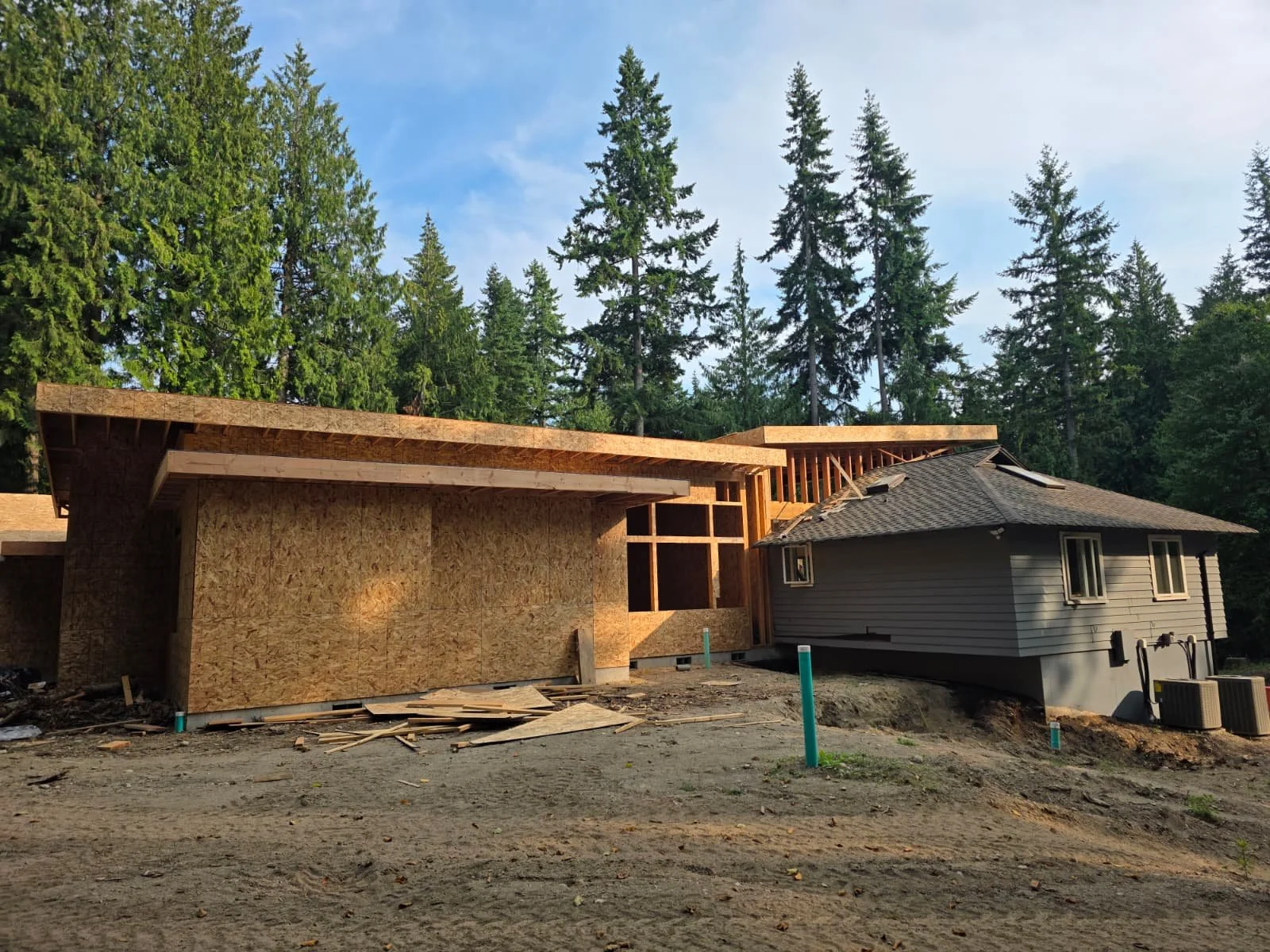 WhatsApp Image 2026-02-11 at 11.24.50 AM (1).jpeg