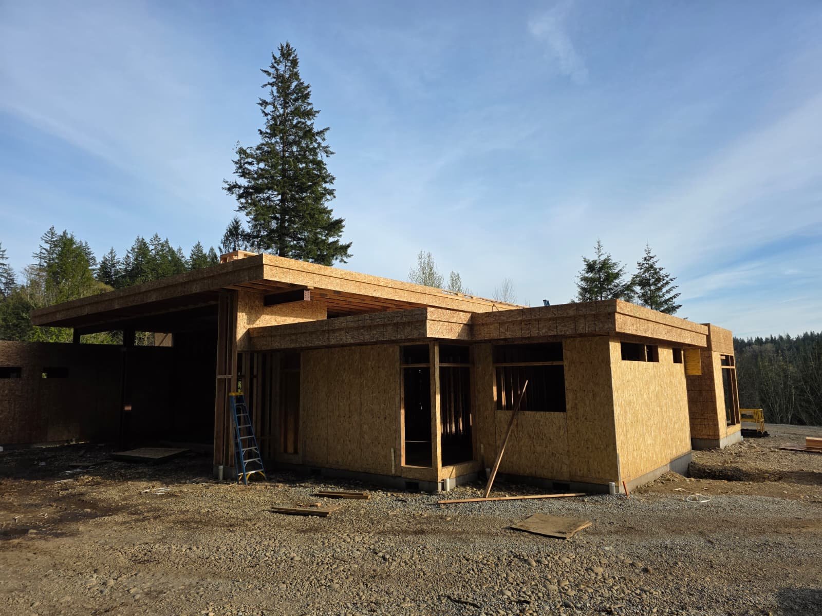 WhatsApp Image 2026-02-11 at 11.24.16 AM.jpeg