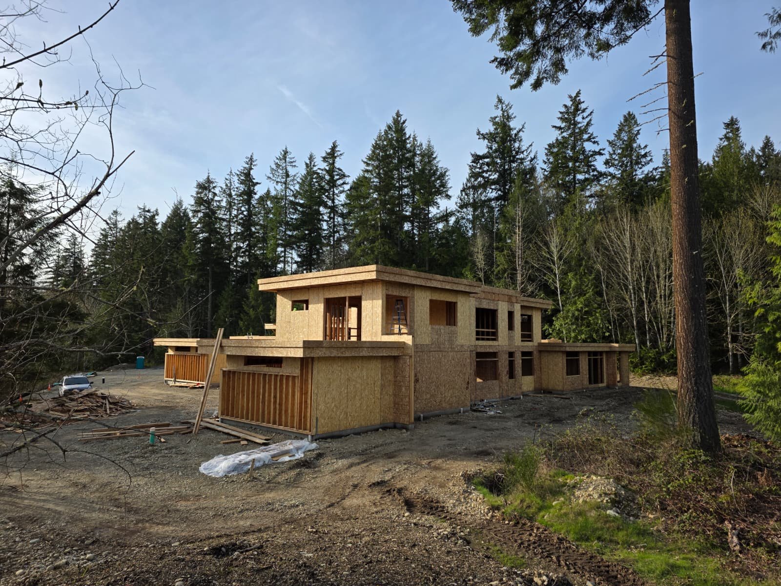 WhatsApp Image 2026-02-11 at 11.24.23 AM.jpeg