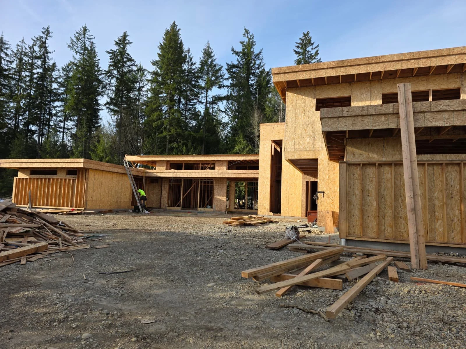 WhatsApp Image 2026-02-11 at 11.24.21 AM.jpeg