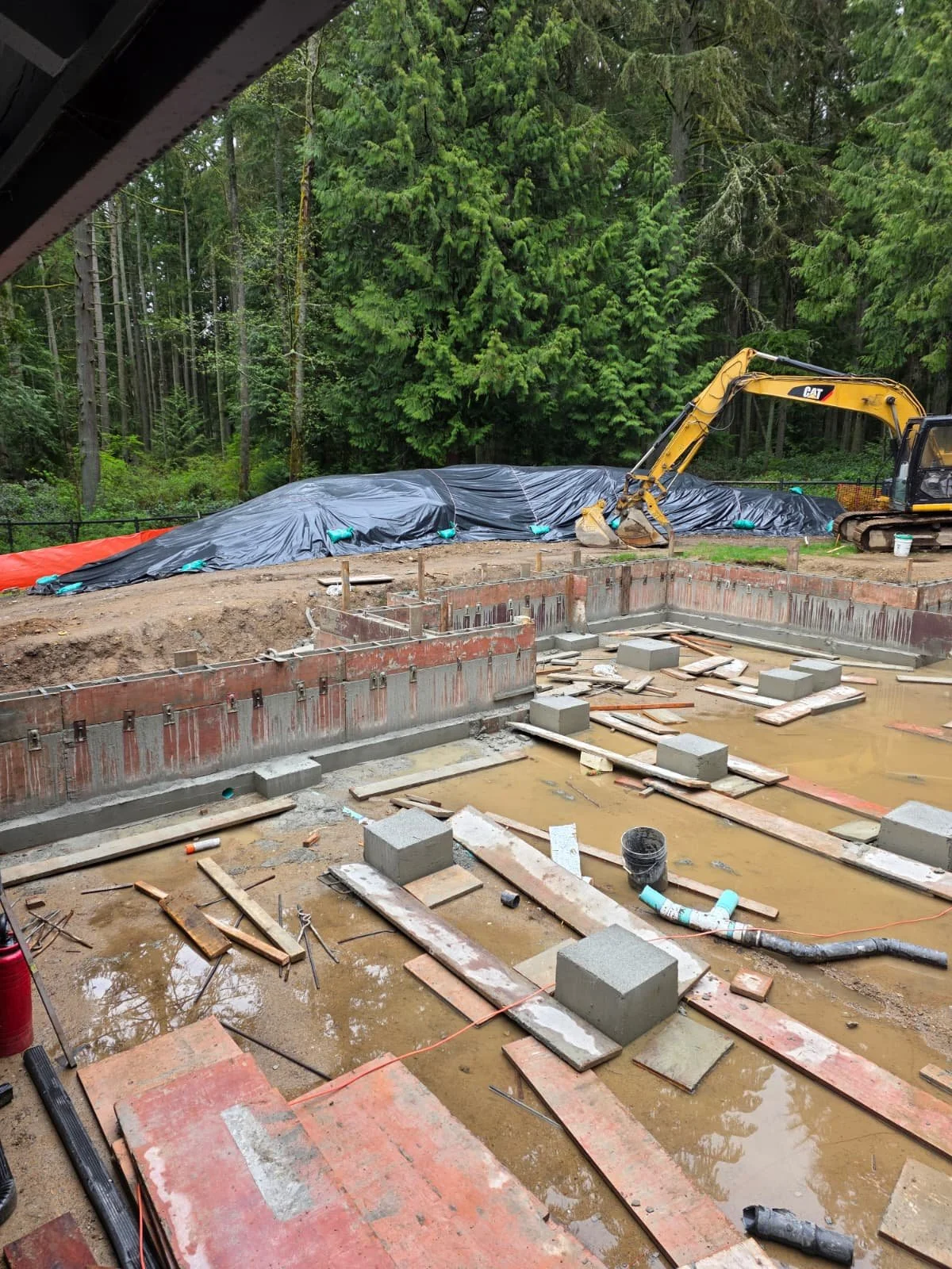 WhatsApp Image 2026-02-11 at 11.24.51 AM (6).jpeg