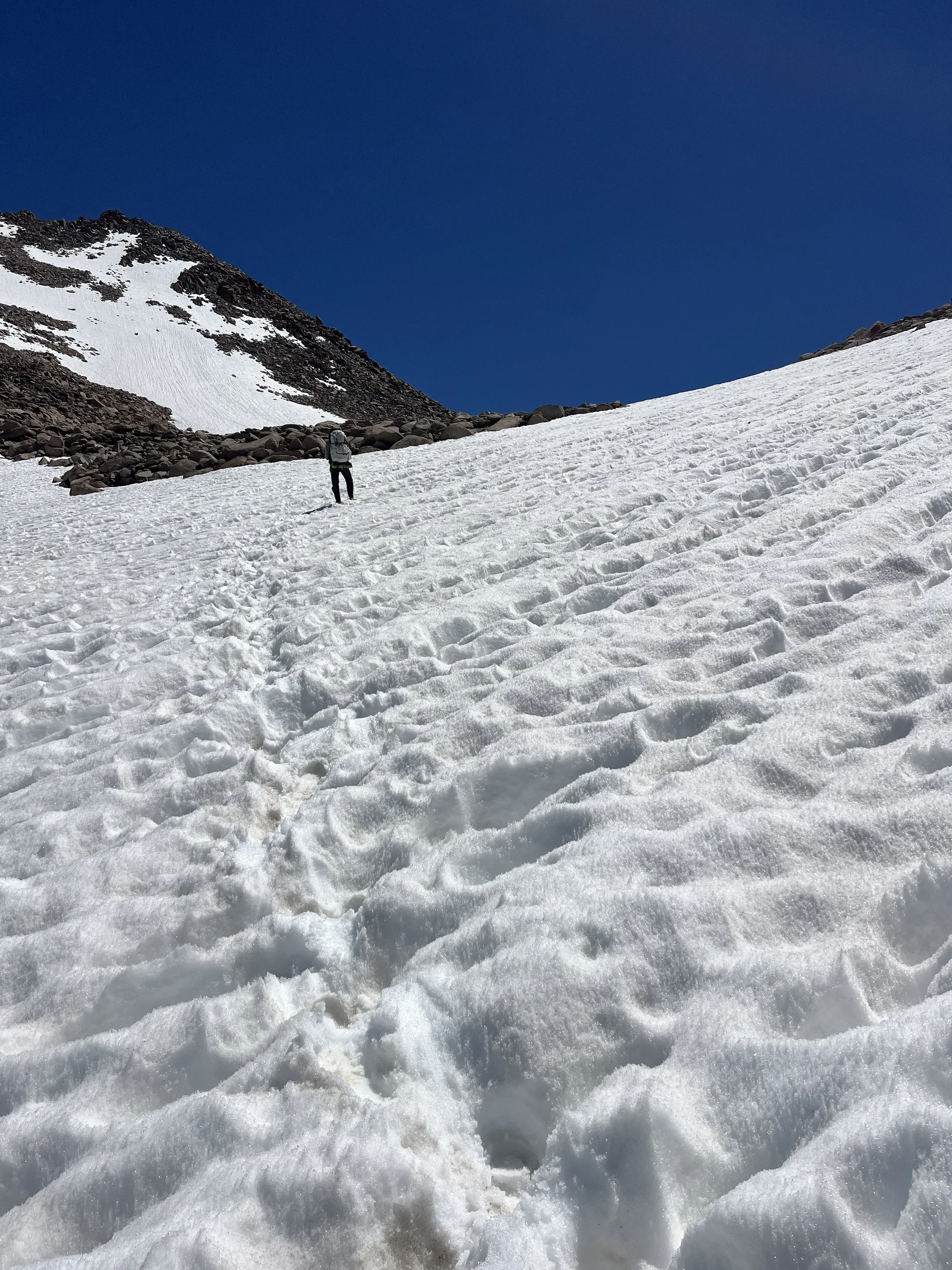 Snowfield below Lamarck Col.