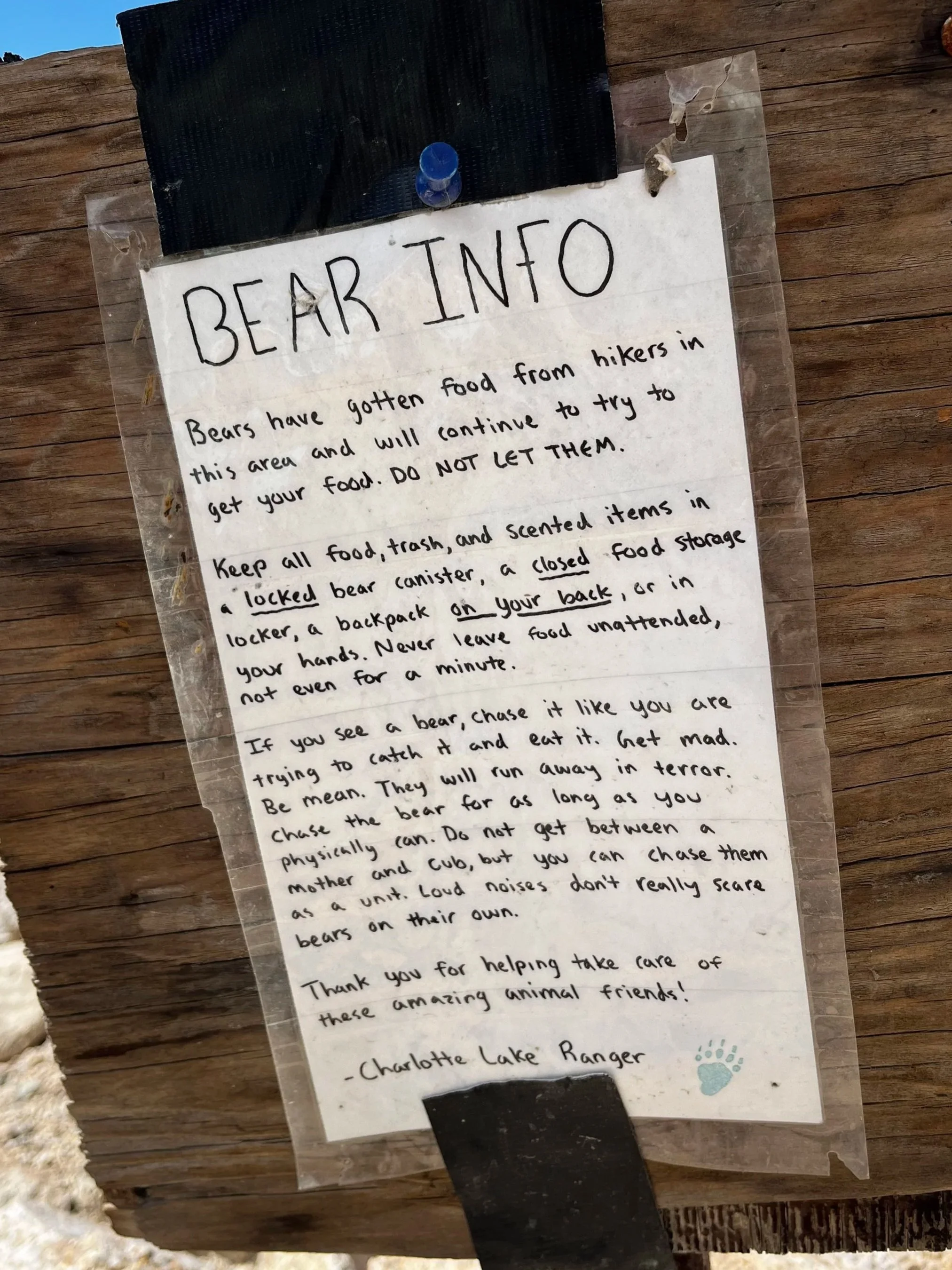 Sign warning about bear activity.