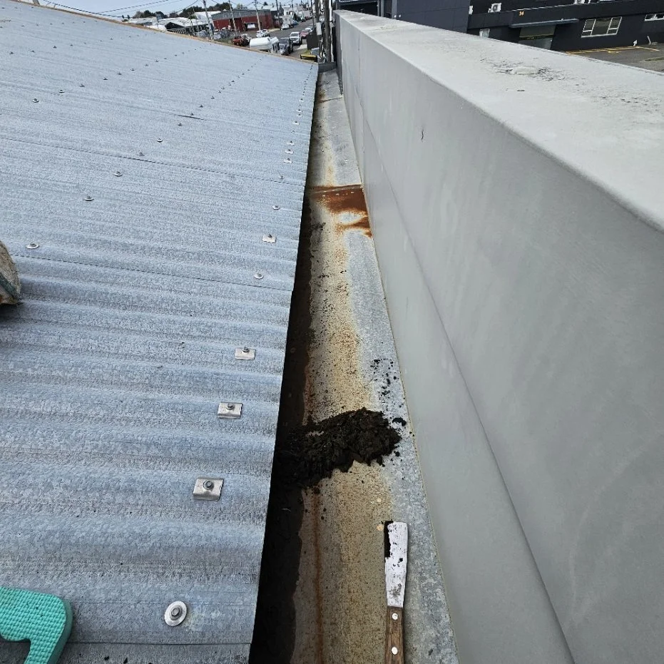 Onekawa - Internal gutter clean