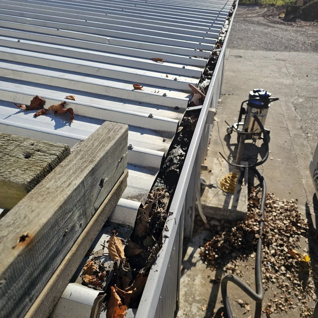 Havelock Rd - Gutter clean