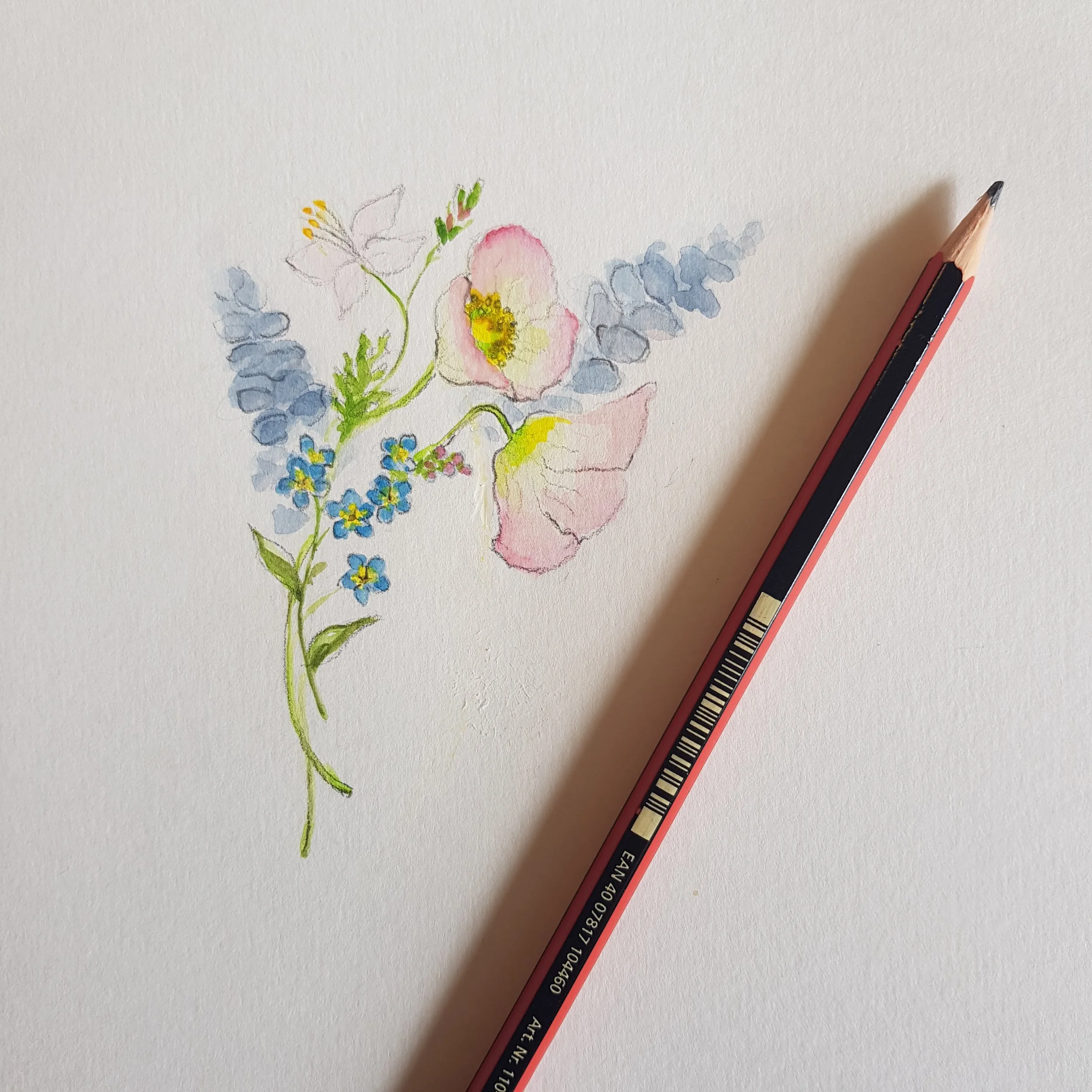 Watercolor drawing of forget-me-not flowers and Evening Primrose flowers and leaves on white paper with a grey lead pencil placed diagonally across.