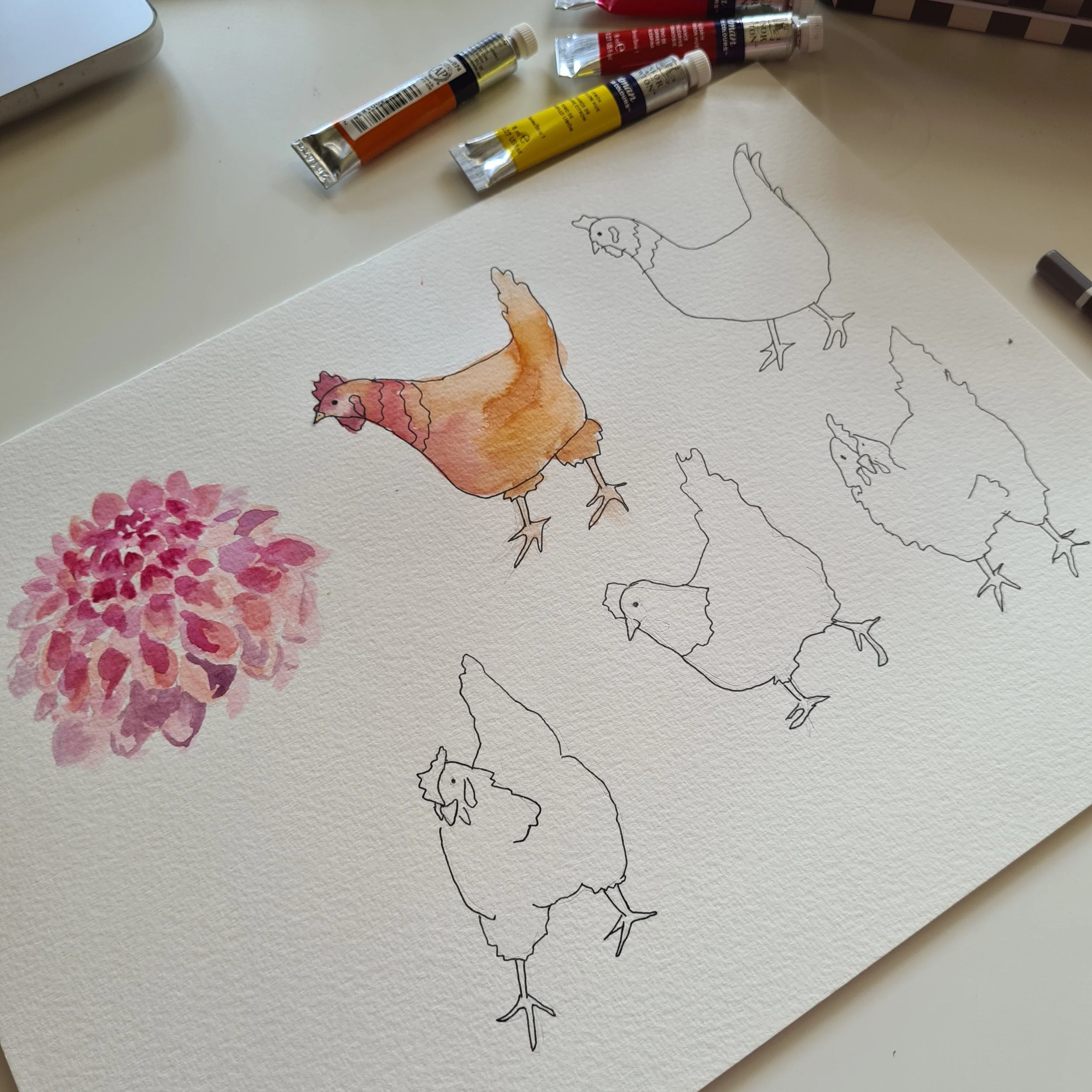 An art project in progress featuring a watercolor painting and ink sketches of a chicken, with a coloured chicken in watercolor and outlined sketches of other chickens and a pink flower on textured watercolor paper.