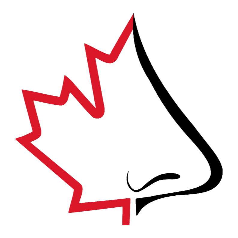 Outline of a cracking maple leaf with a red electrocardiogram line running through it, on a black background.