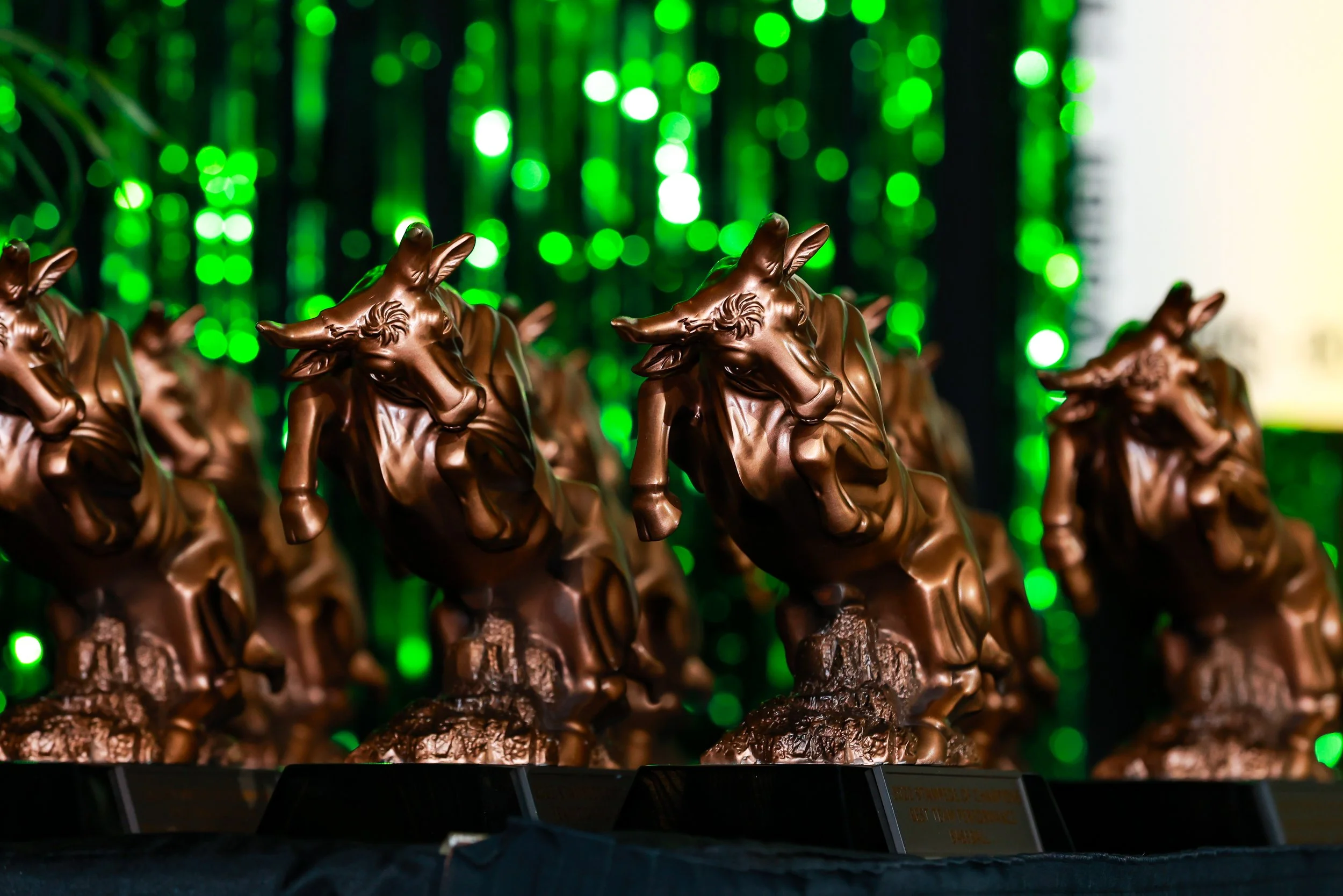 USF Athletics | Event Photography