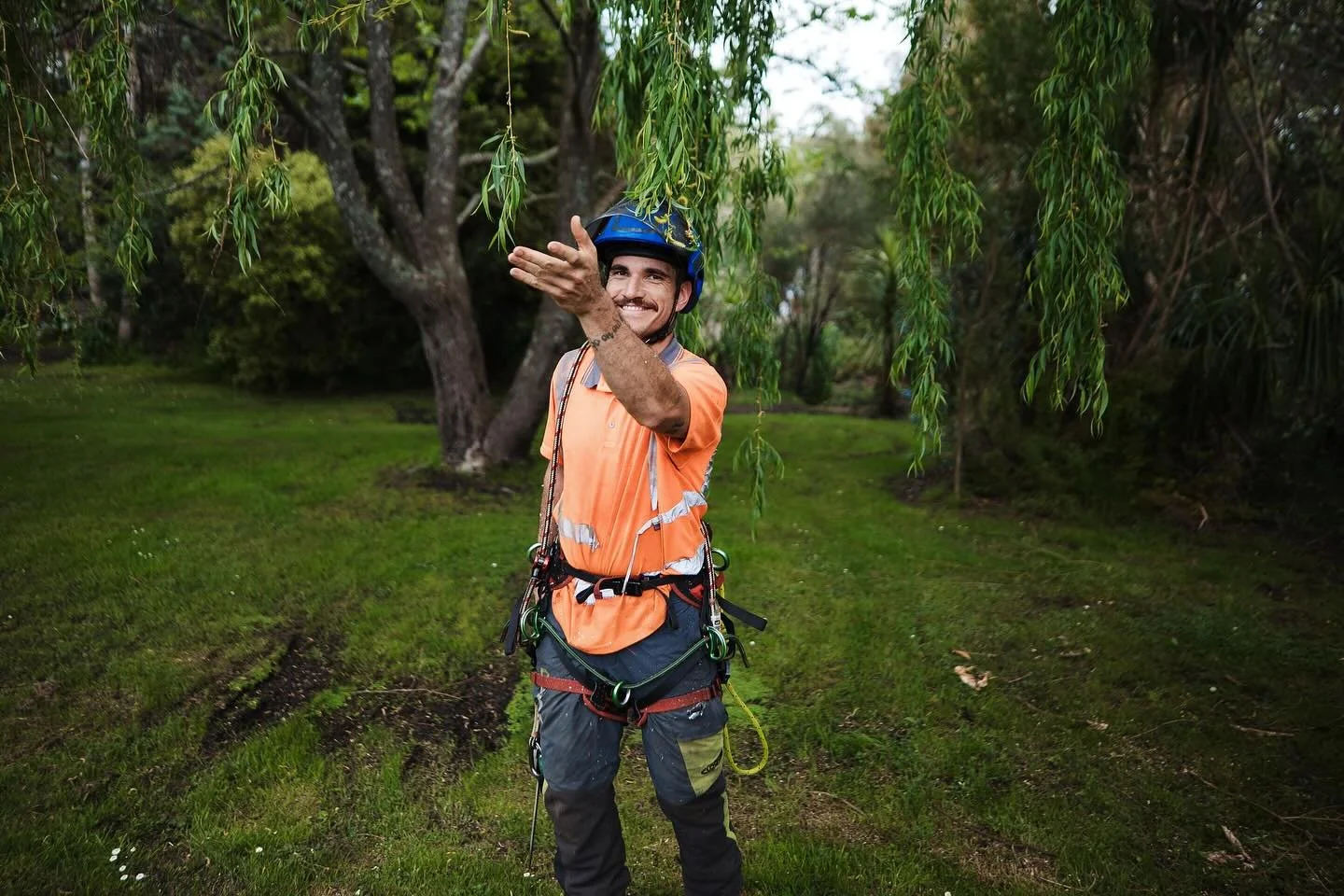 Tree Work.
📸 By our amazing friend @zahntrotter