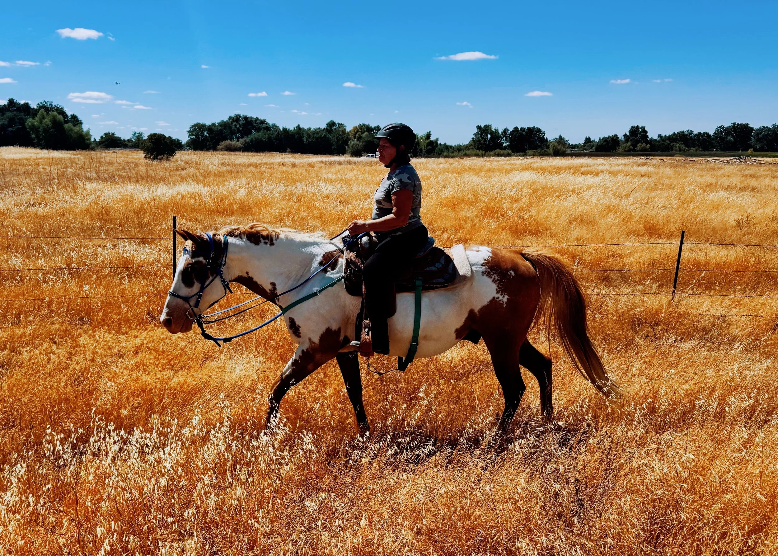A woman riding a brown and white horse through a golden field on a sunny day with a blue sky and a few scattered clouds.