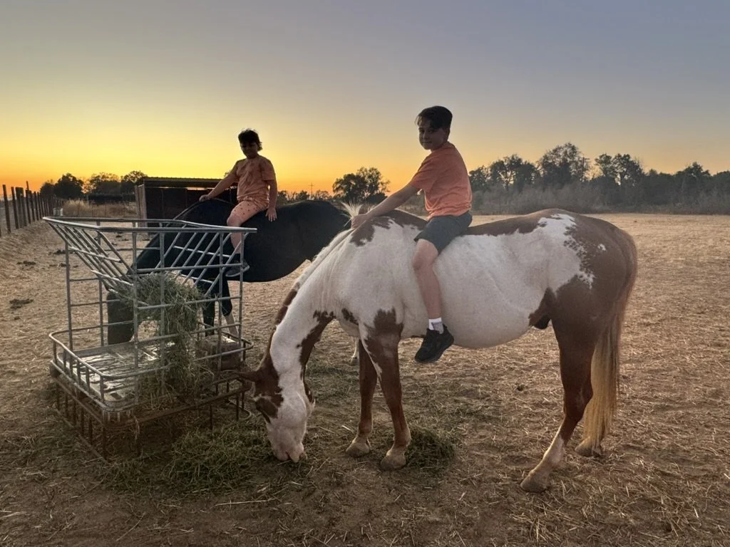 Two children riding horses, with one horse eating hay from a feeding rack at sunset in an outdoor farm setting.
