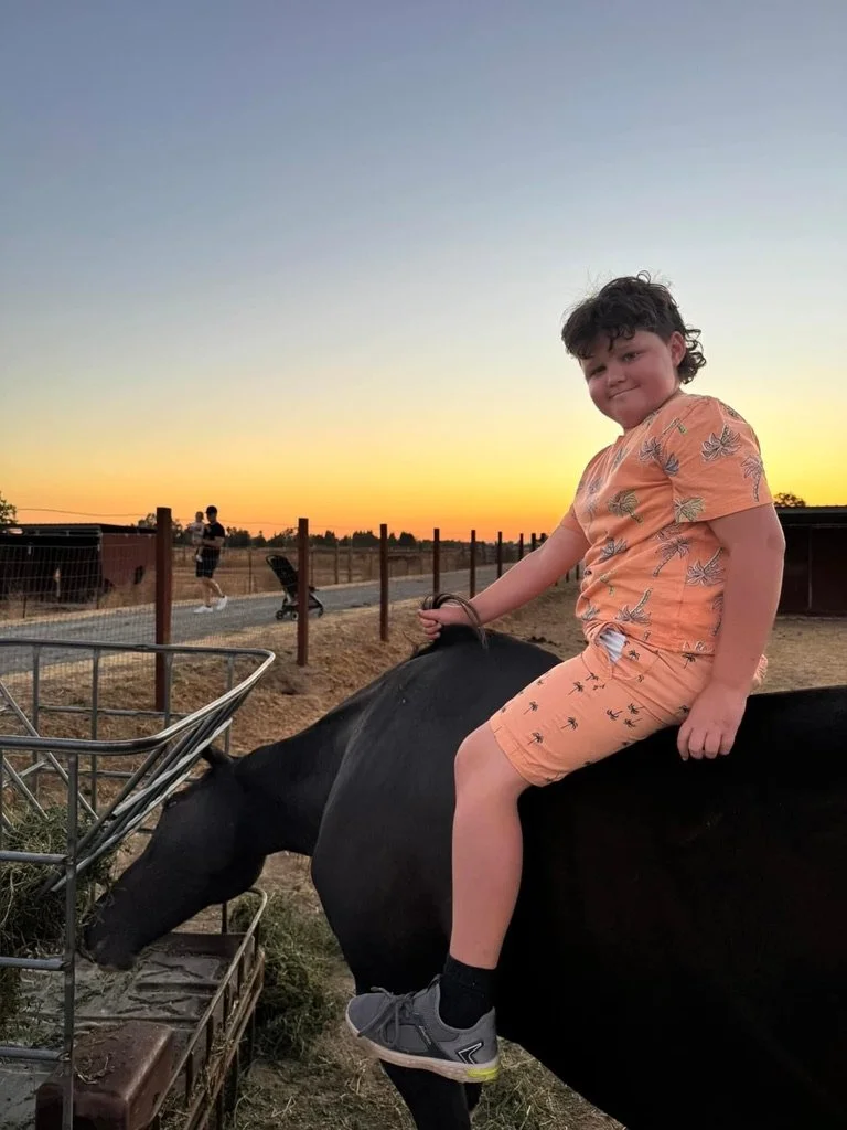 A young child sitting on a black horse, holding its mane, at sunset in a rural area with a fence and two people walking in the background.