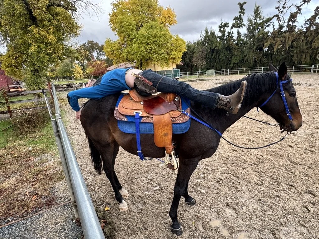 A person in blue lying across a black horse in an outdoor riding arena with trees and a fall landscape in the background.